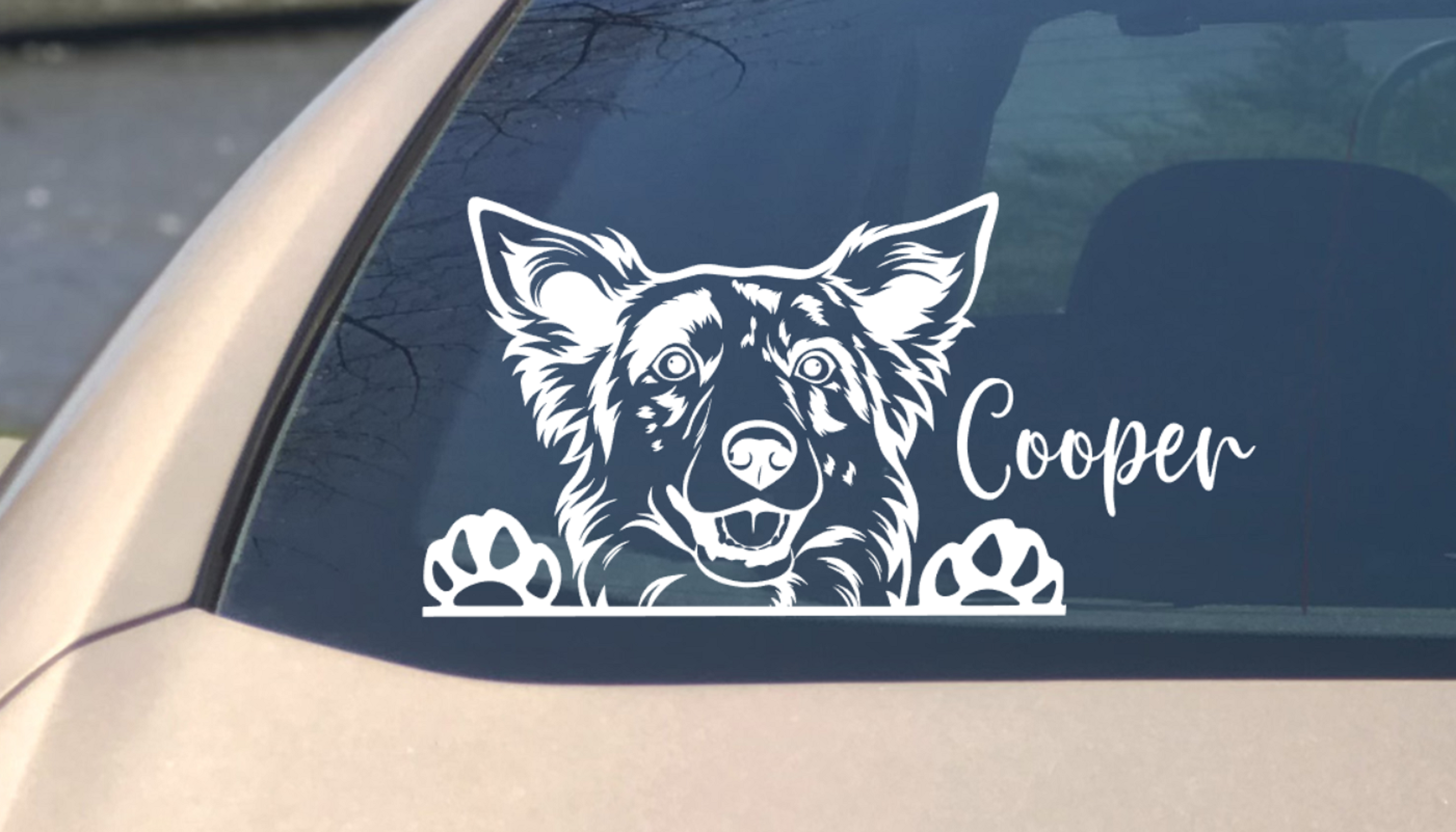 Australian Koolie Peeking Car Decal - My Crafty Dog