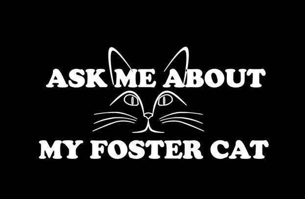 Ask Me About My Foster Cat Car Sticker - My Crafty Dog
