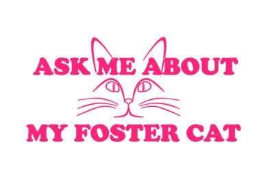 Ask Me About My Foster Cat Car Sticker - My Crafty Dog