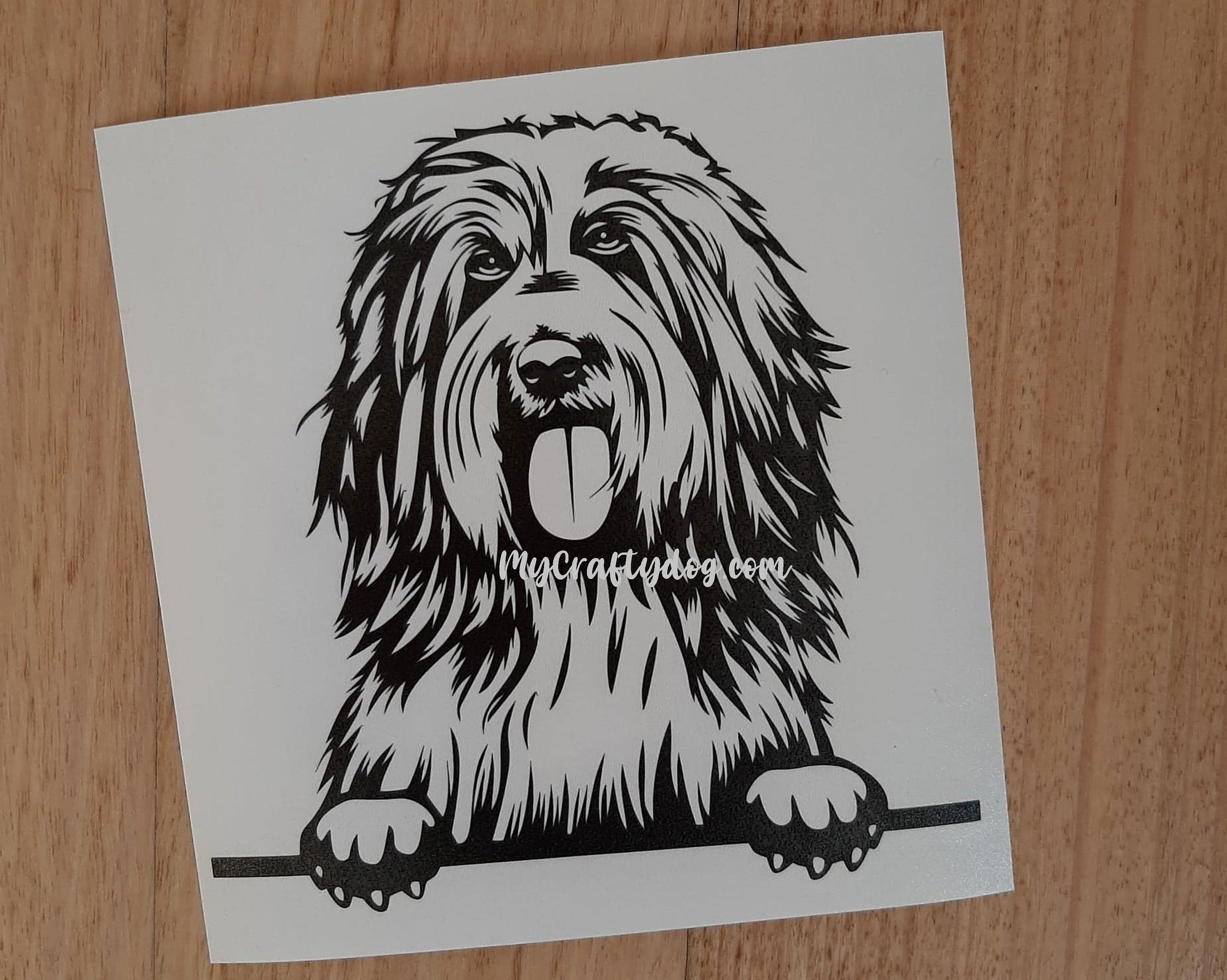 Peeking Bearded Collie Car Sticker - My Crafty Dog