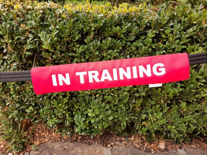 In Training dog lead sleeve. Slip over lead