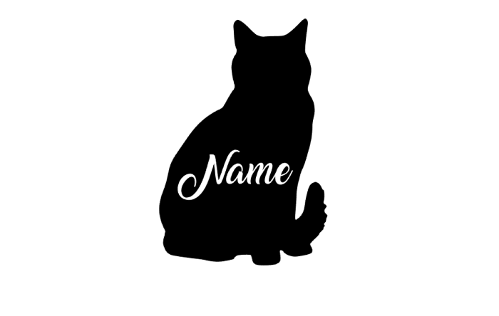Cat decal your name