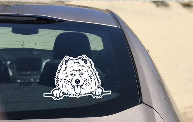 Samoyed Peeking dog Car Sticker