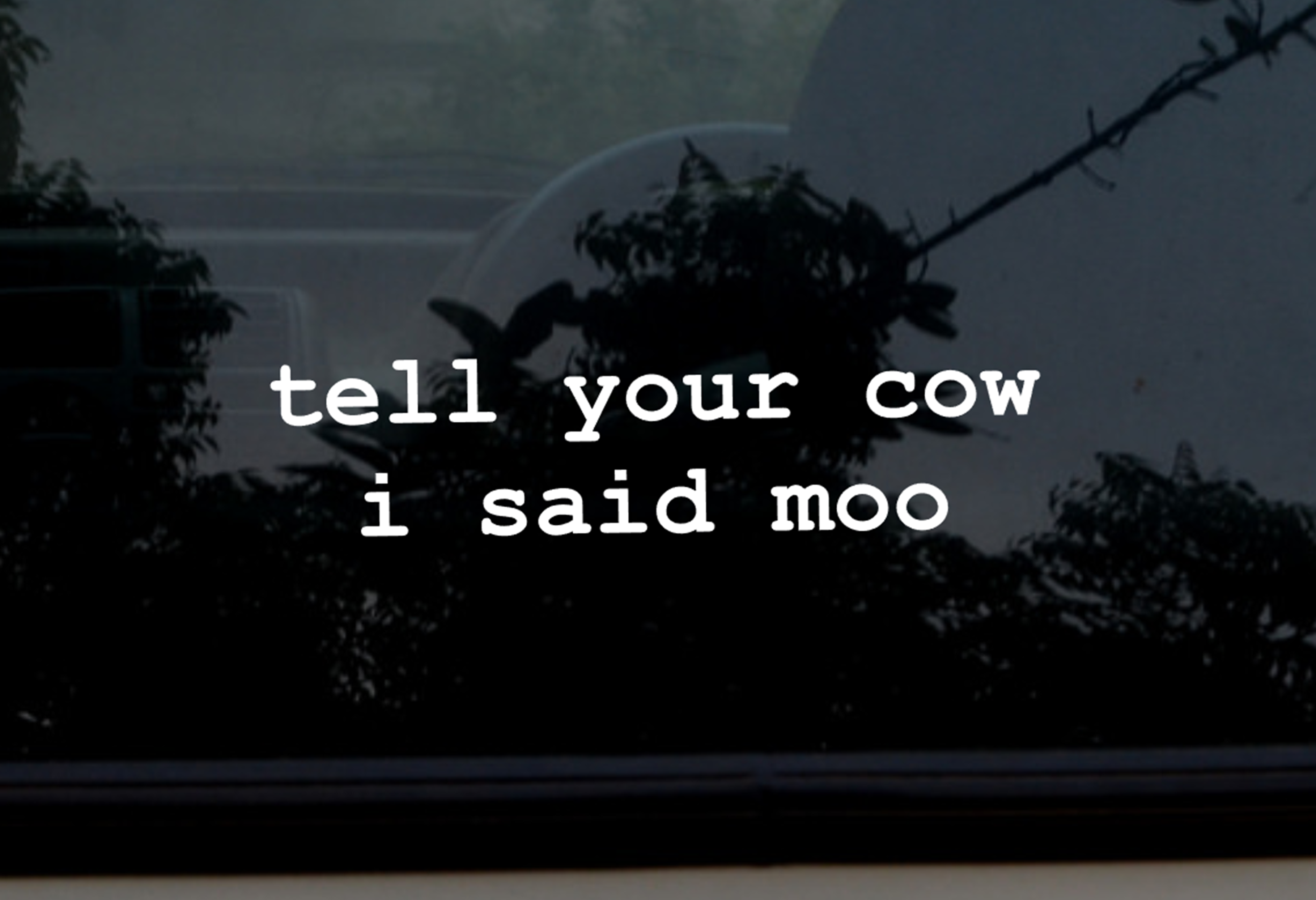 tell your cow i said moo sticker fun