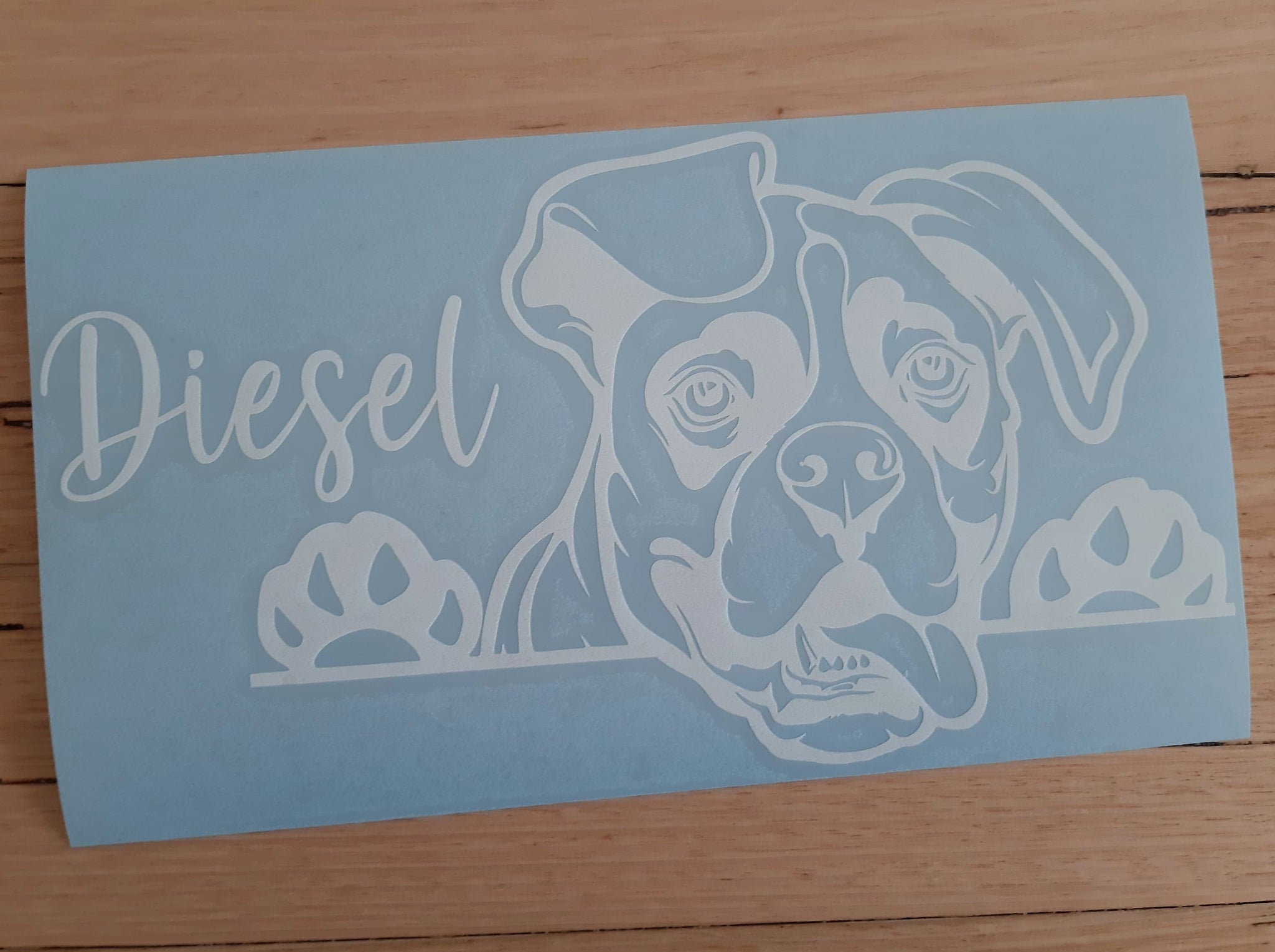 "Since 1904" Boxer Dog Oval Vinyl Decal – 4.7" X 3.3" Bumper Sticker For Car, Laptop, Tumbler