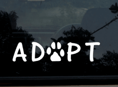 ADOPT Dog Car Decal / Sticker - My Crafty Dog