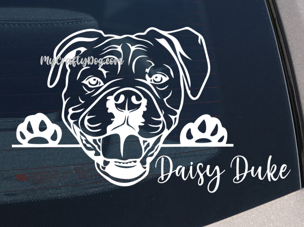 American Bulldog peeking dog car decal vinyl sticker