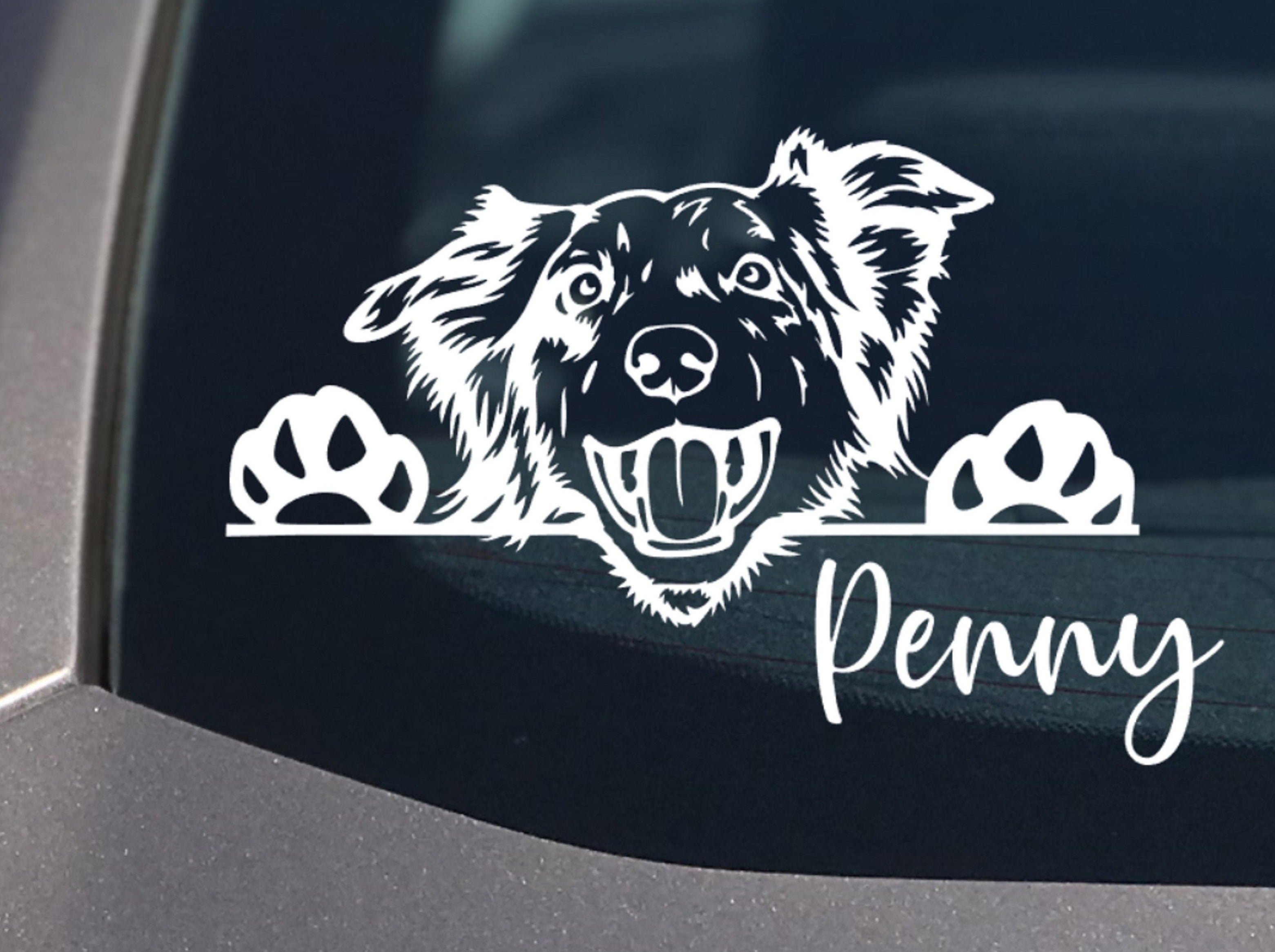 Peeking Australian Shepherd Car Decal Aussie - My Crafty Dog