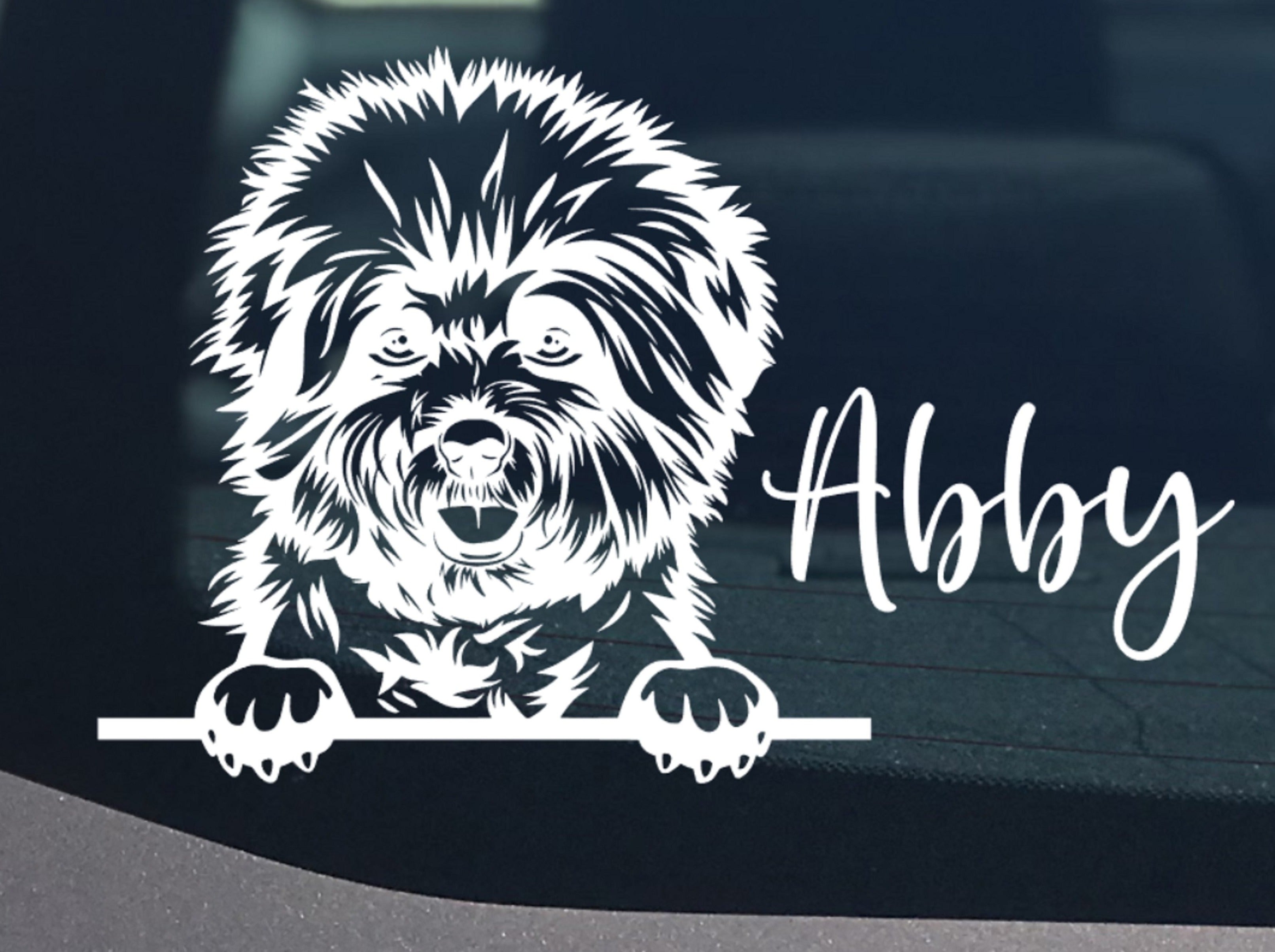 Peeking Bichon Frise Car Sticker - My Crafty Dog