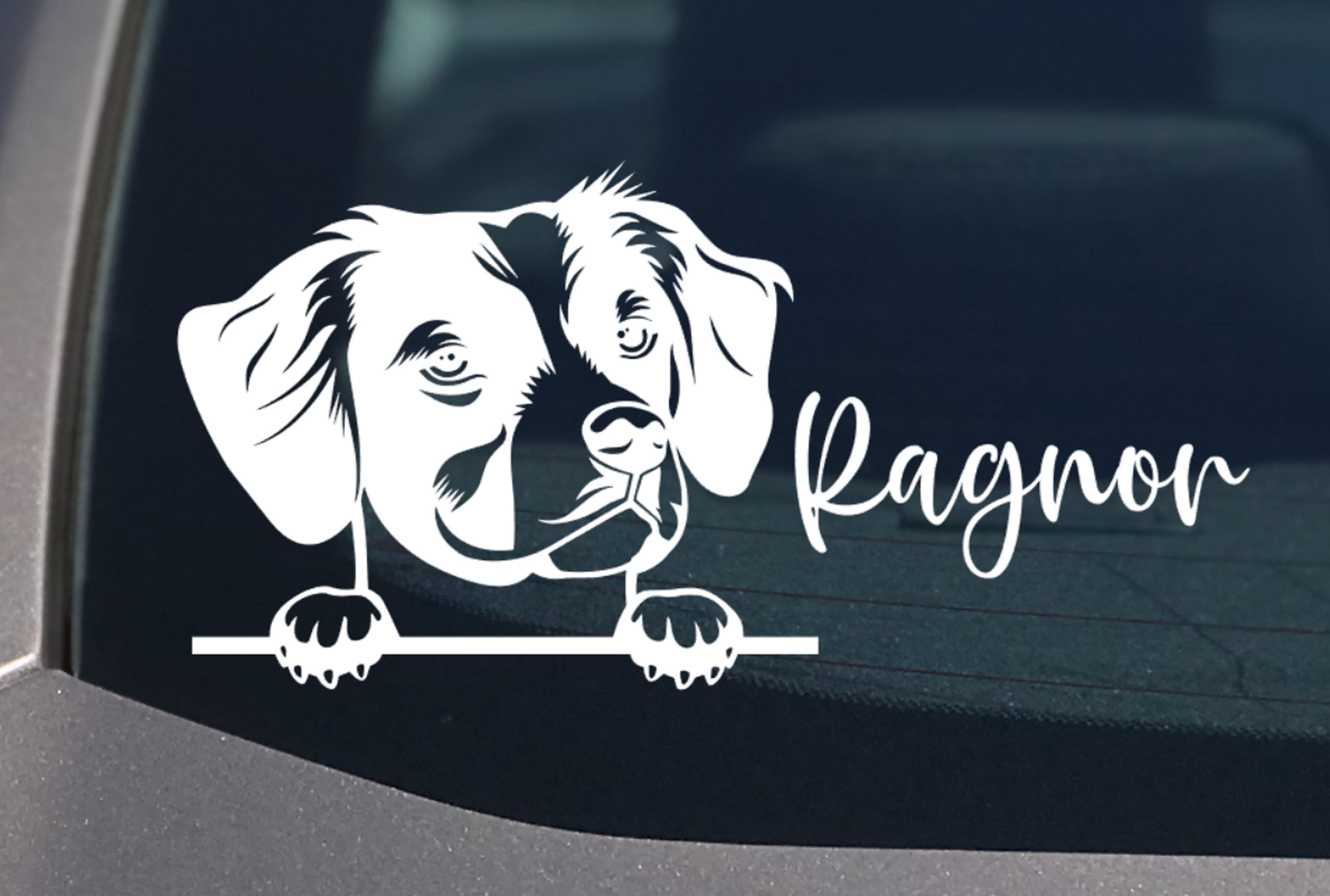 Peeking Brittany Spaniel Car Sticker - My Crafty Dog