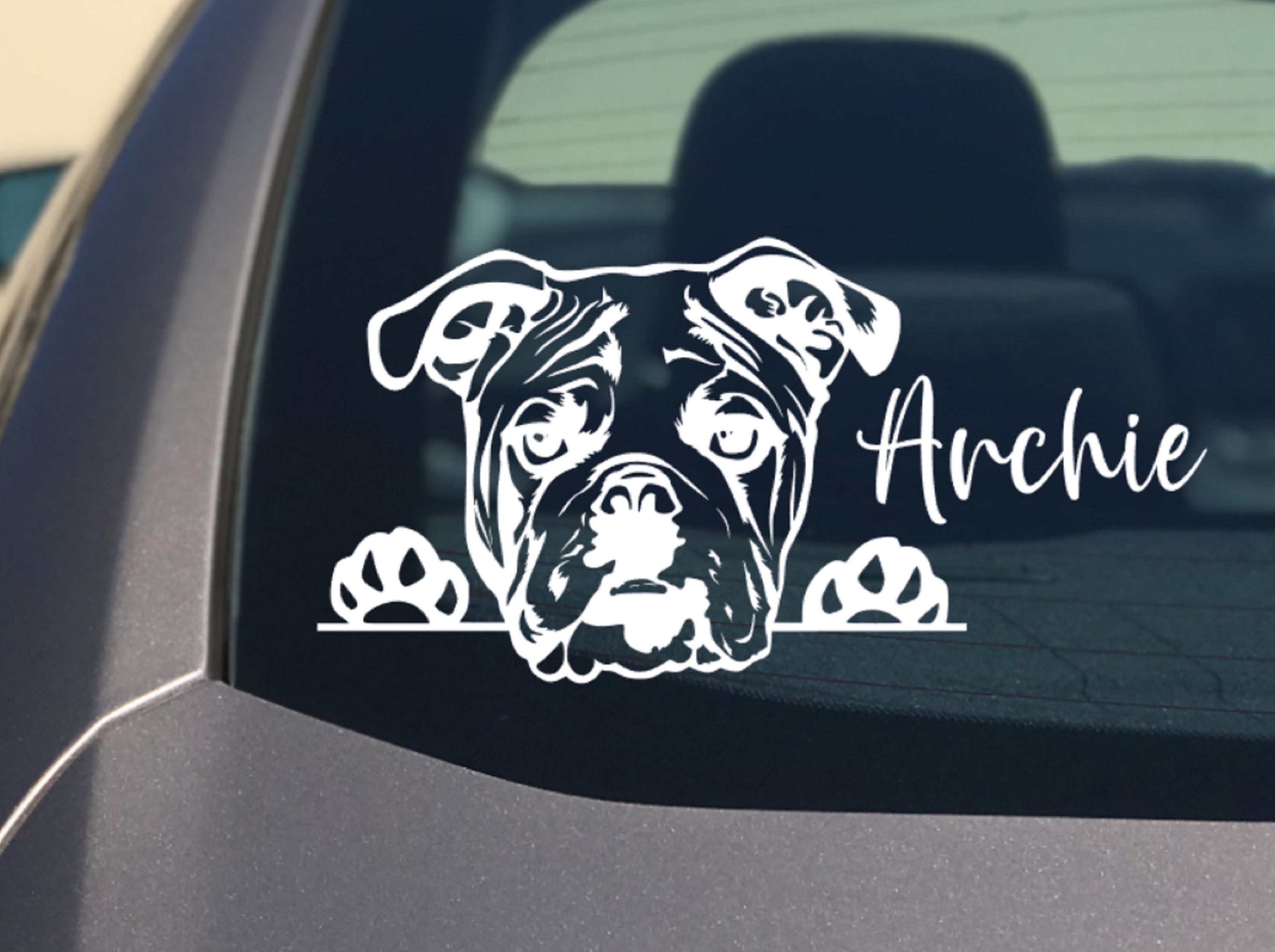 Peeking Bulldog Car Sticker - My Crafty Dog