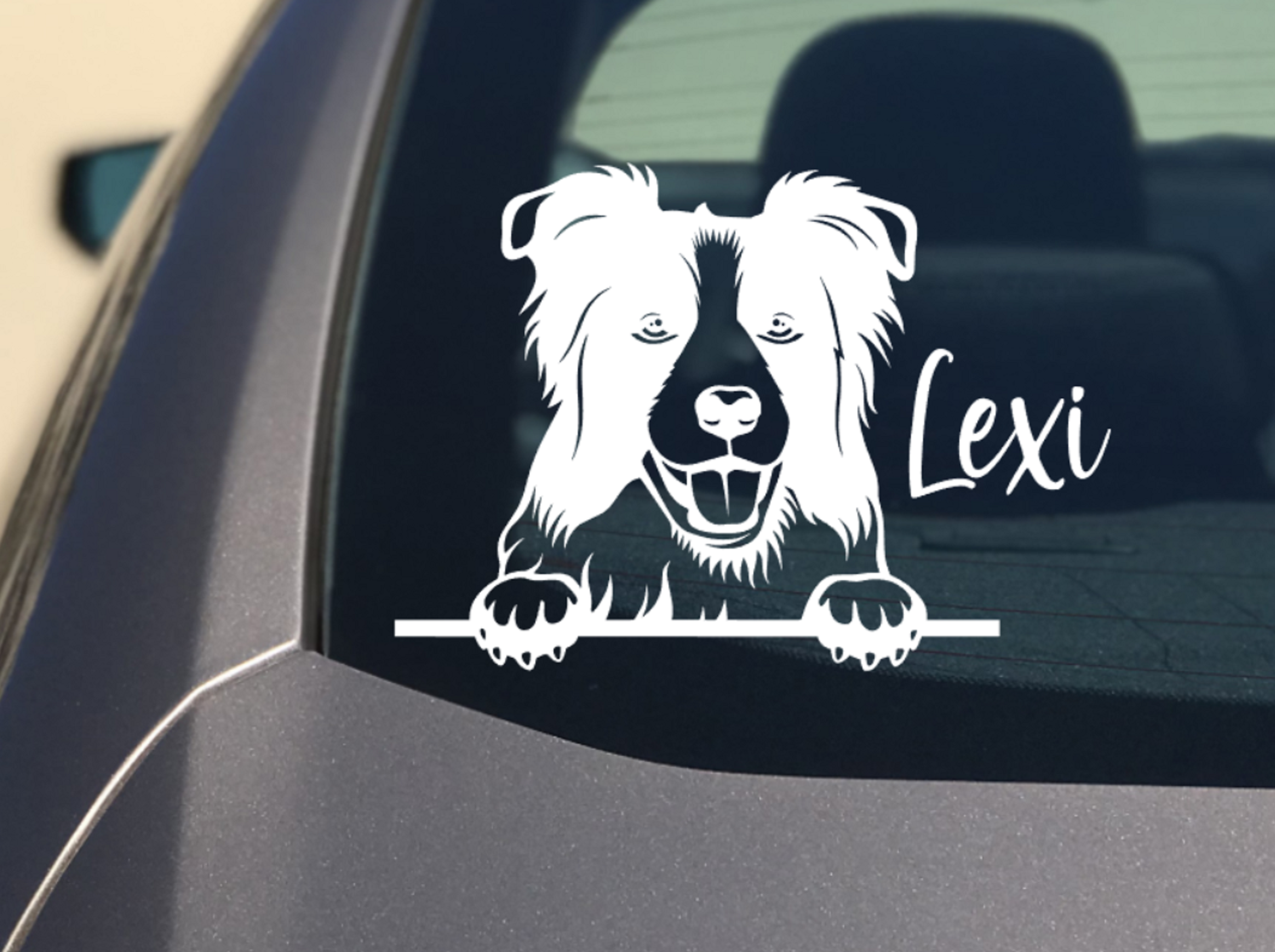 Peeking Border Collie Car Sticker - My Crafty Dog