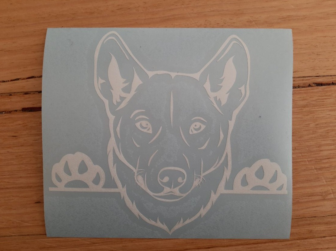 Peeking Dingo Sticker Vinyl Car decal - My Crafty Dog