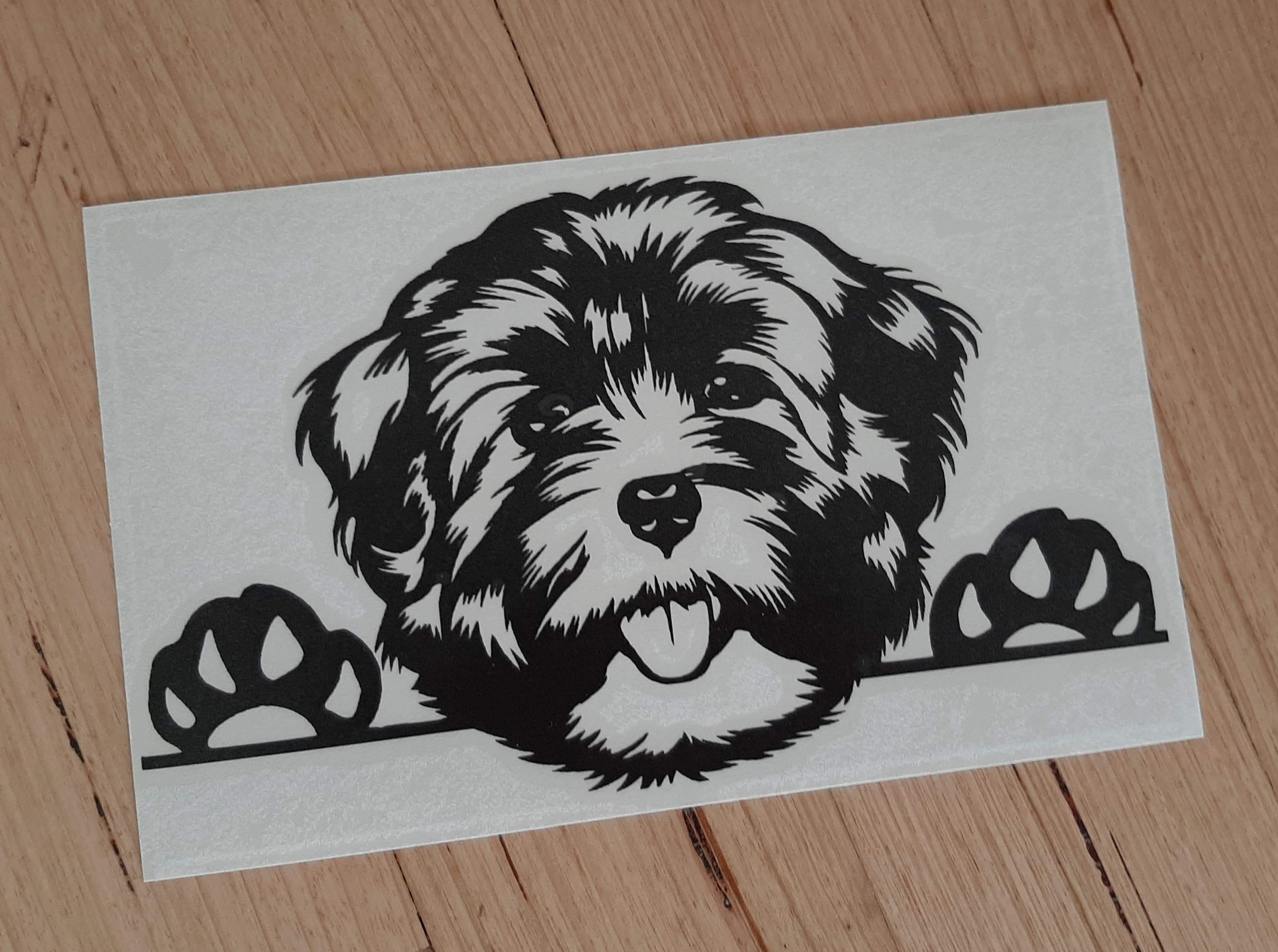 Peeking Havenese Car Sticker - My Crafty Dog
