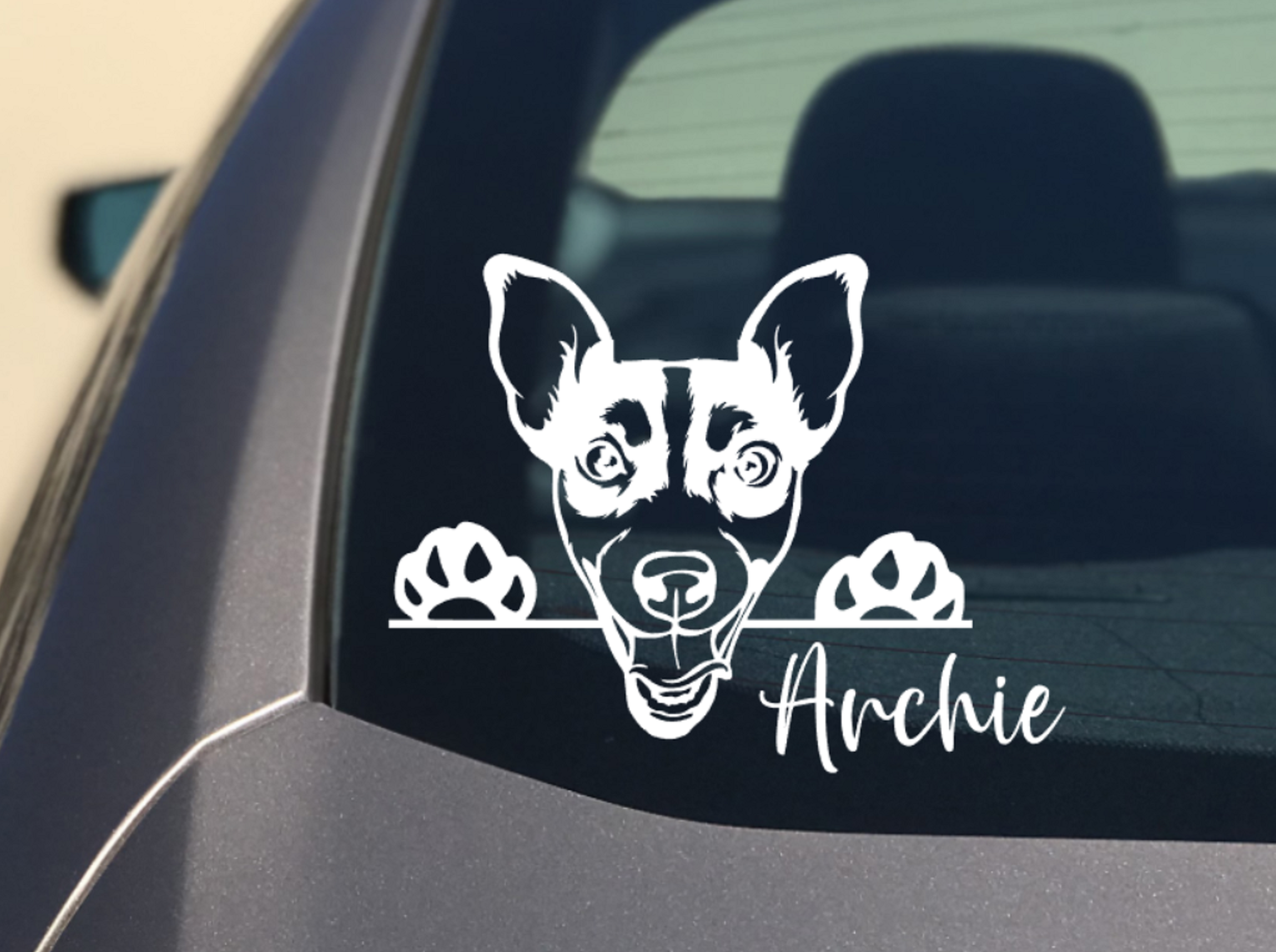Peeking Jack Russell Car Sticker - My Crafty Dog
