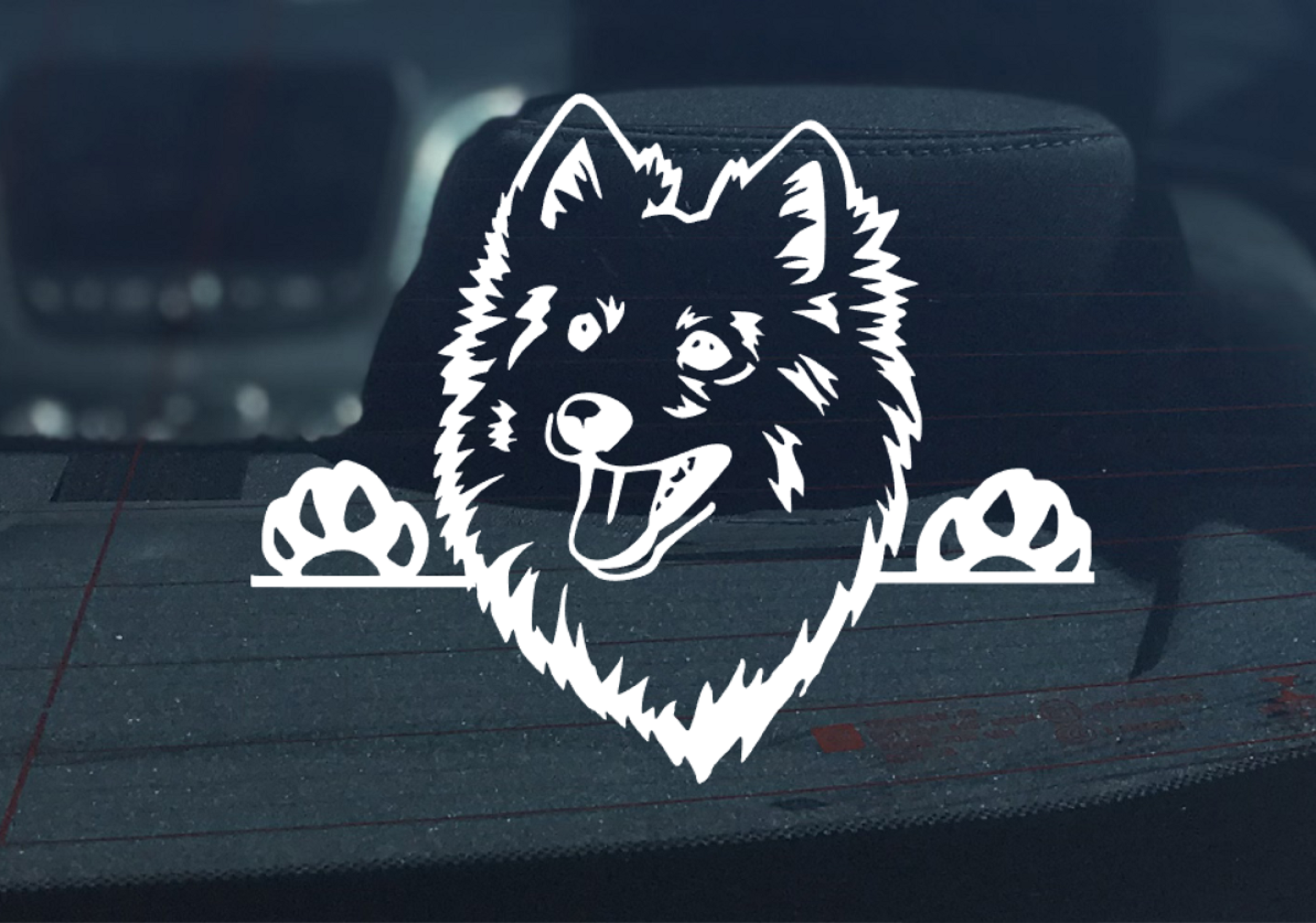 Japanese Spitz Peeking dog Car Sticker