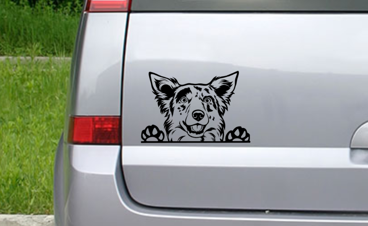 Koolie Peeking dog Car Sticker