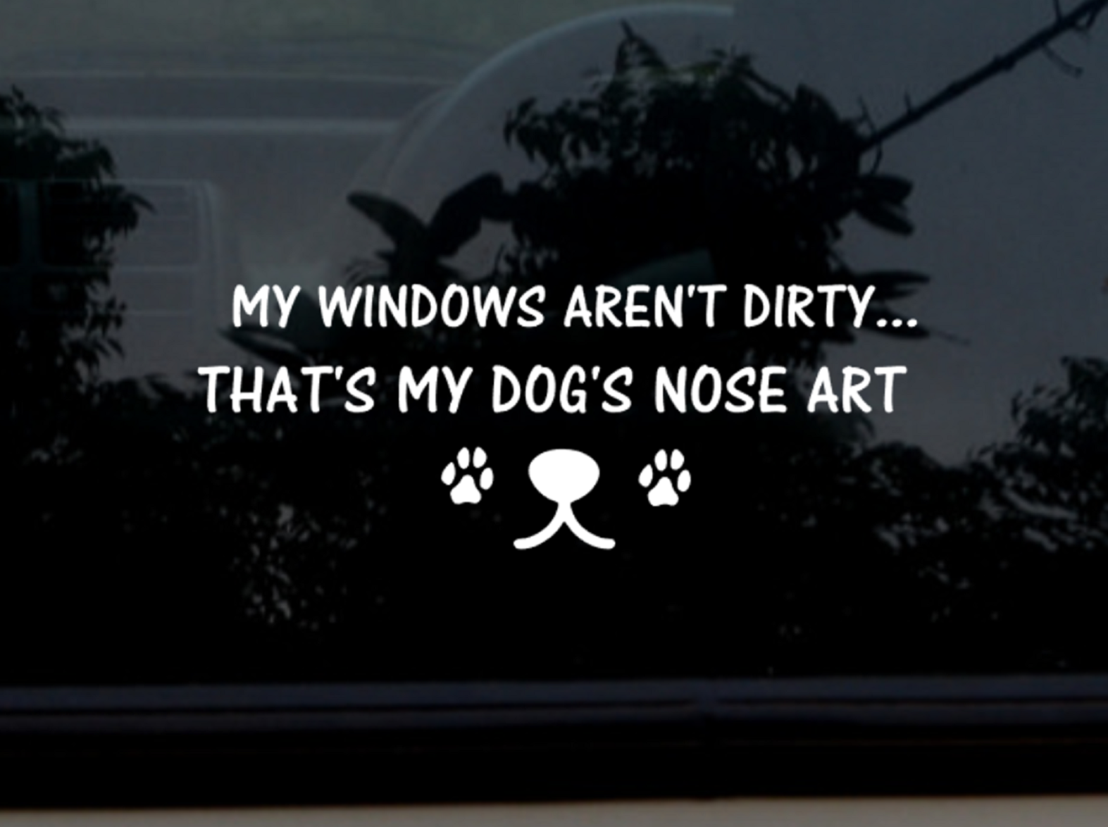 My windows aren't dirty