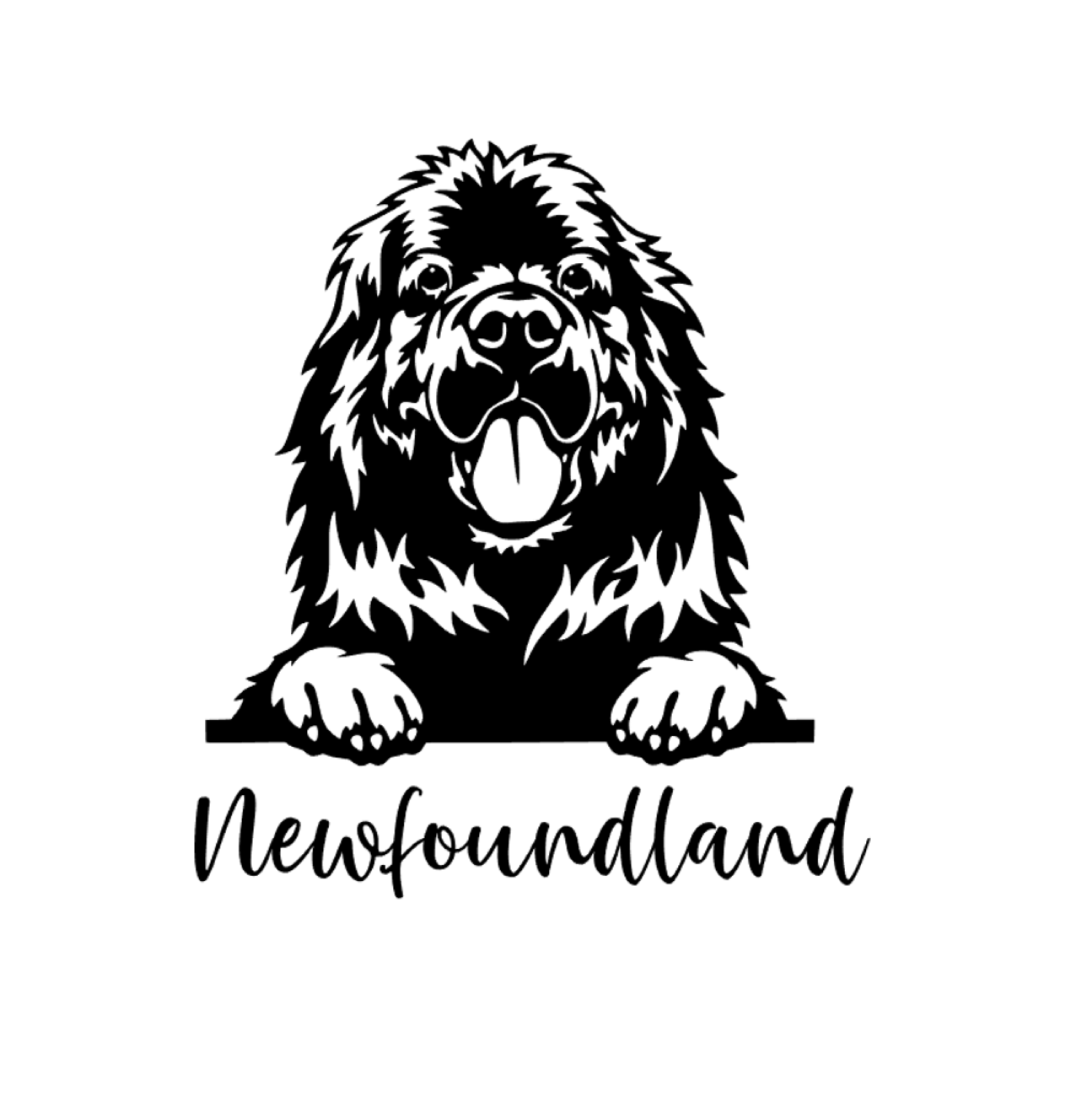 Newfoundland Peeking Dog Car Sticker