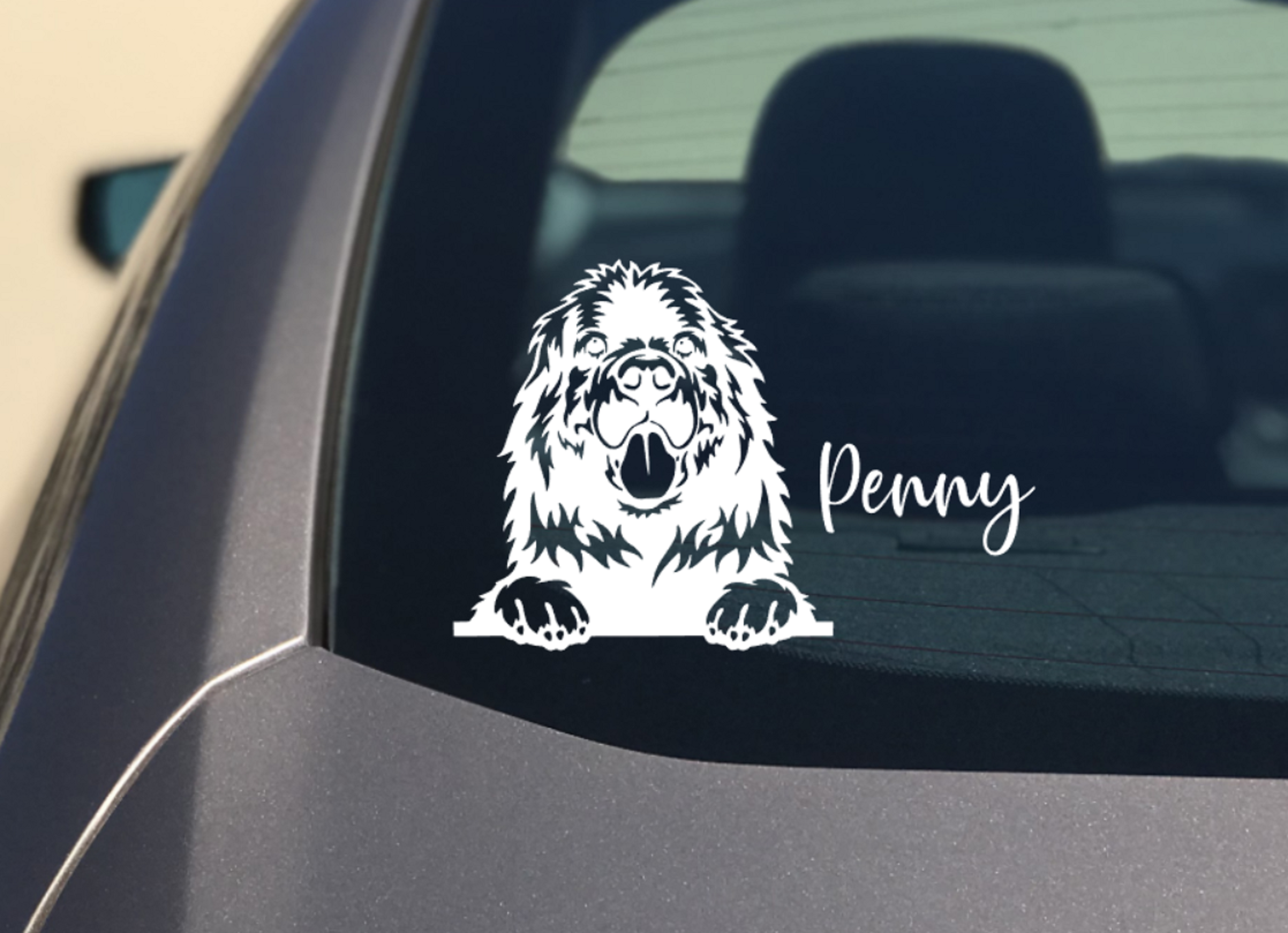 Newfoundland Peeking Dog Car Sticker