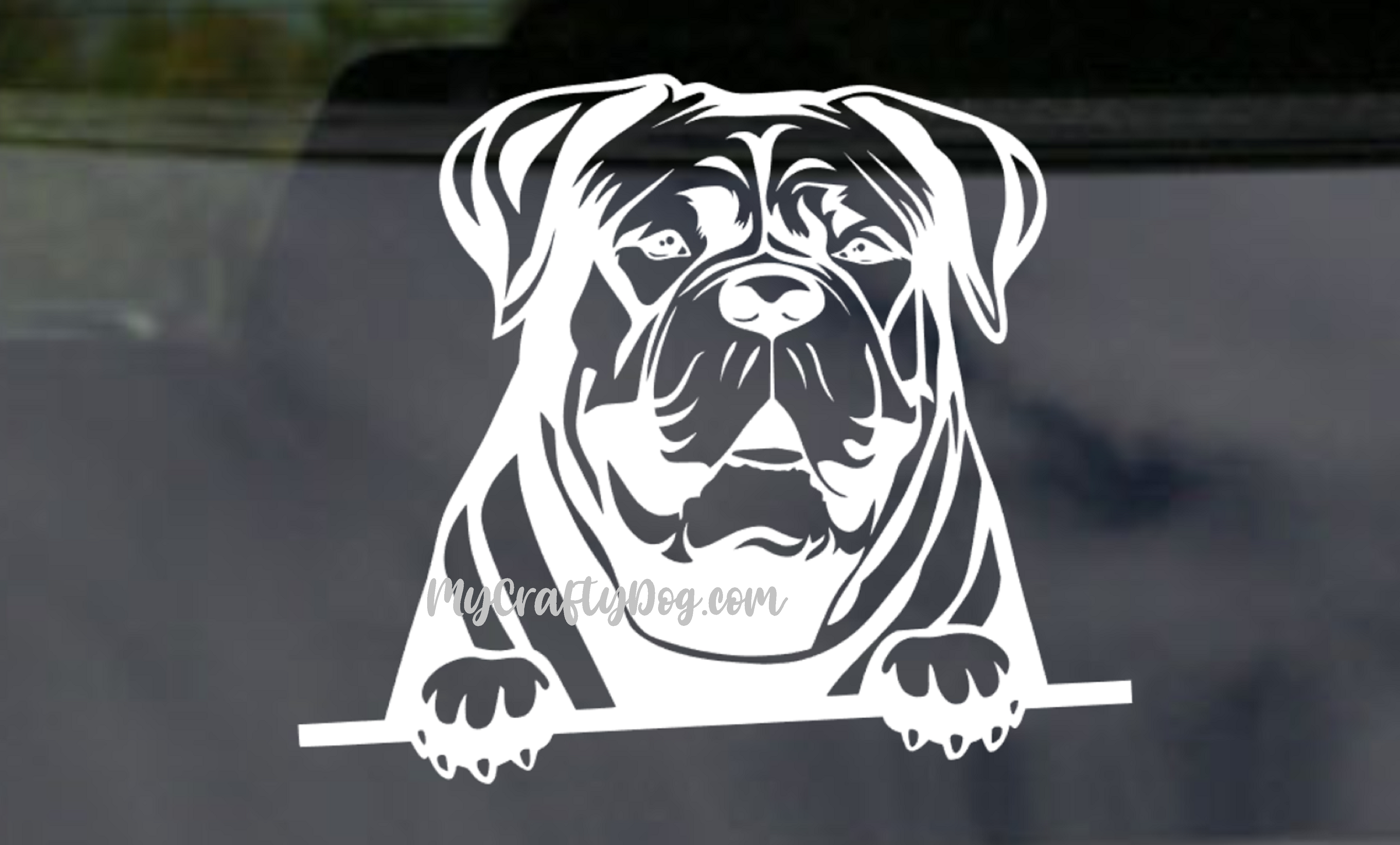 Peeking Dogue du Bordeaux Car Sticker French Mastiff - My Crafty Dog