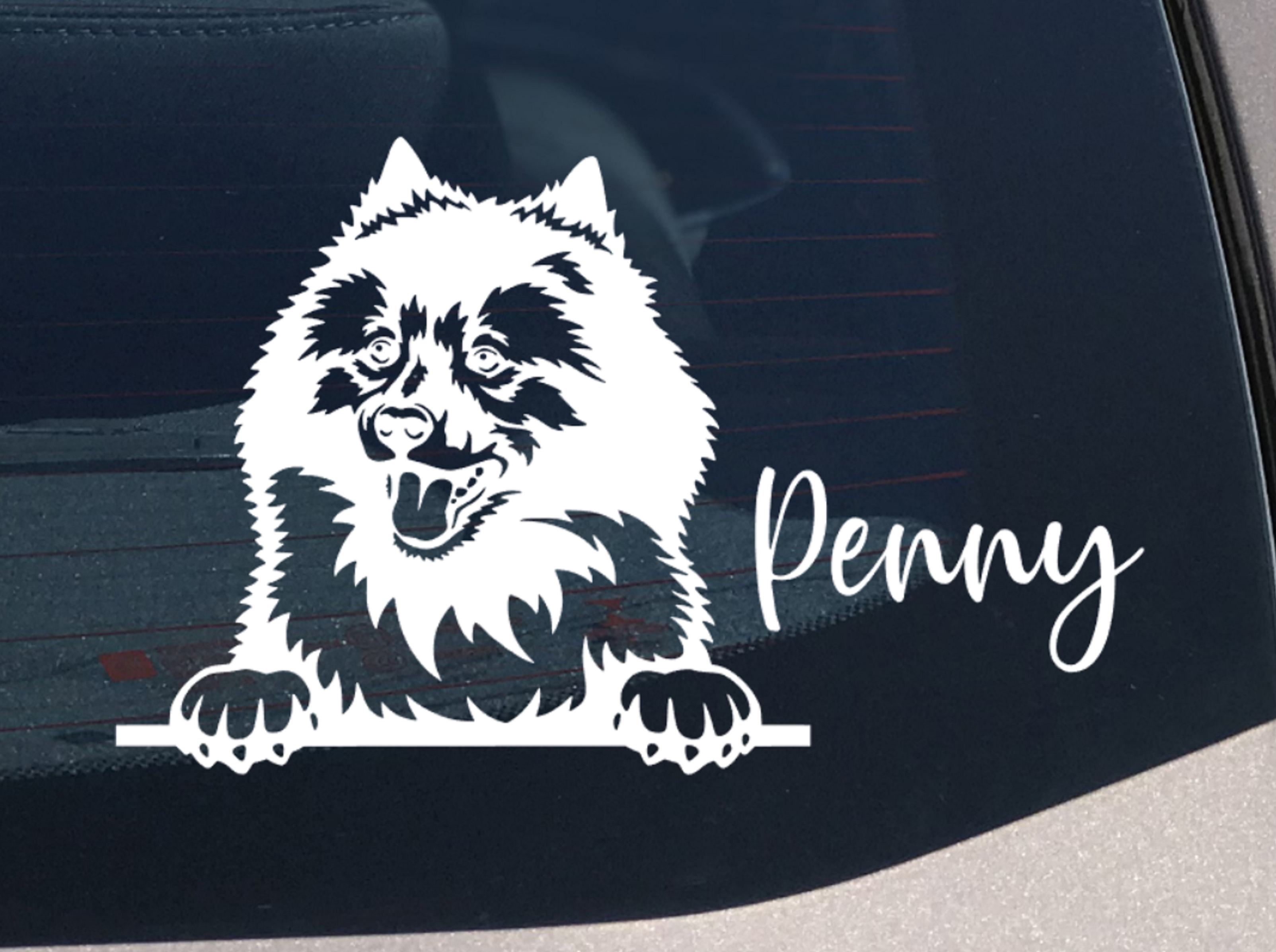 Keeshound peeking dog car sticker