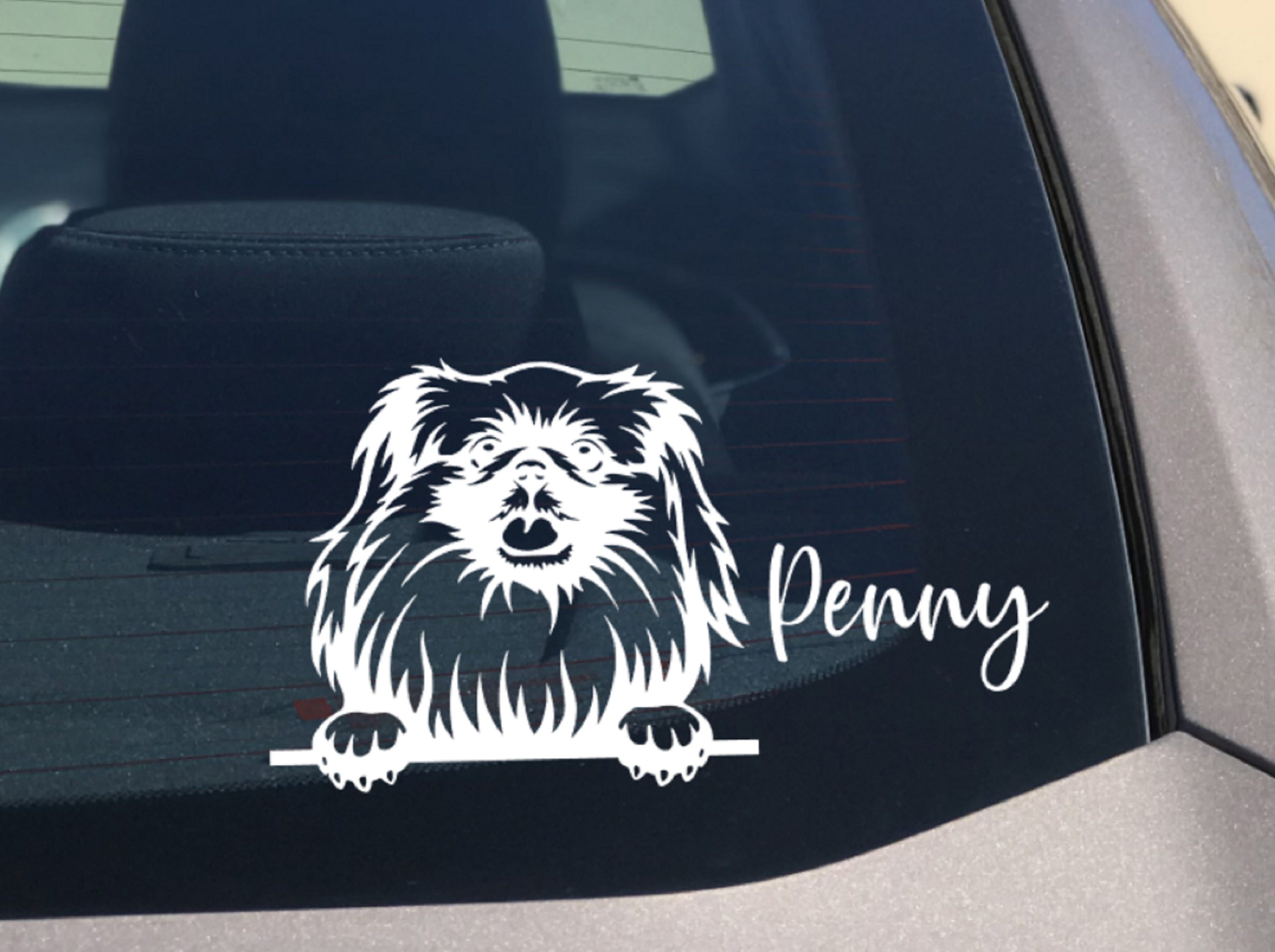 Pekingese Peeking dog Car Sticker Chinese Dog