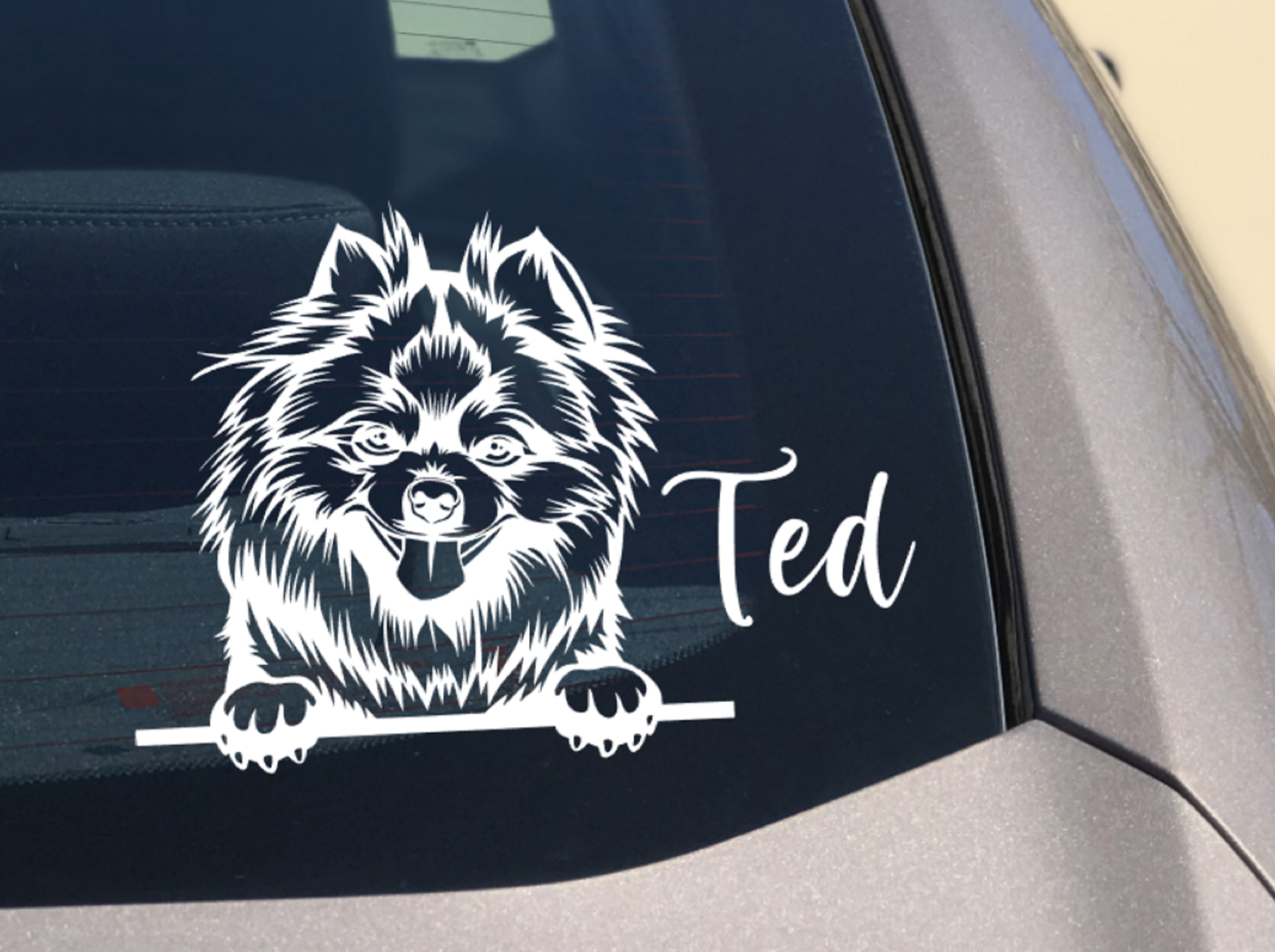 Peeking Pomeranian Car Sticker - My Crafty Dog