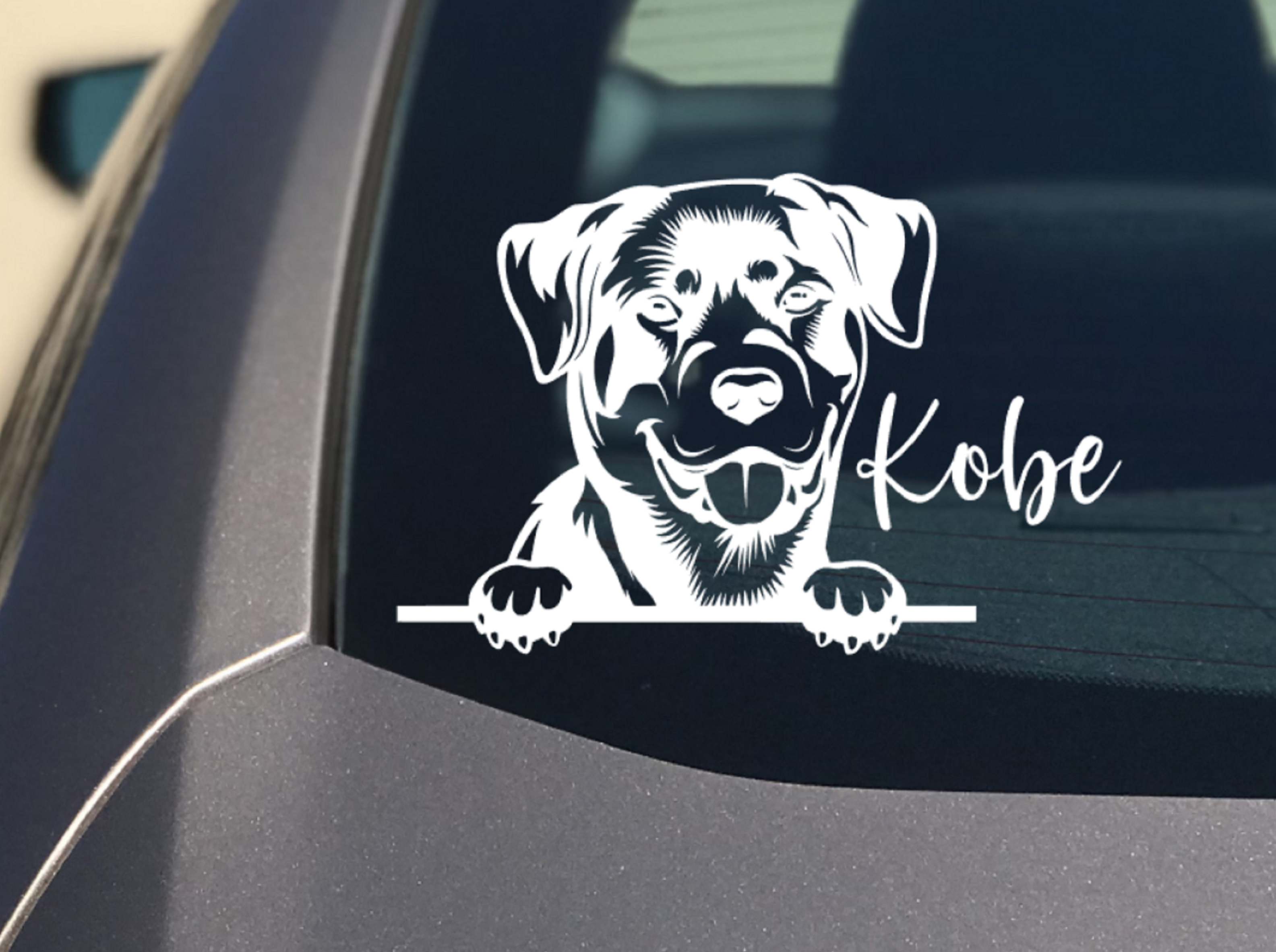 Peeking Rottweiler Car Sticker - My Crafty Dog