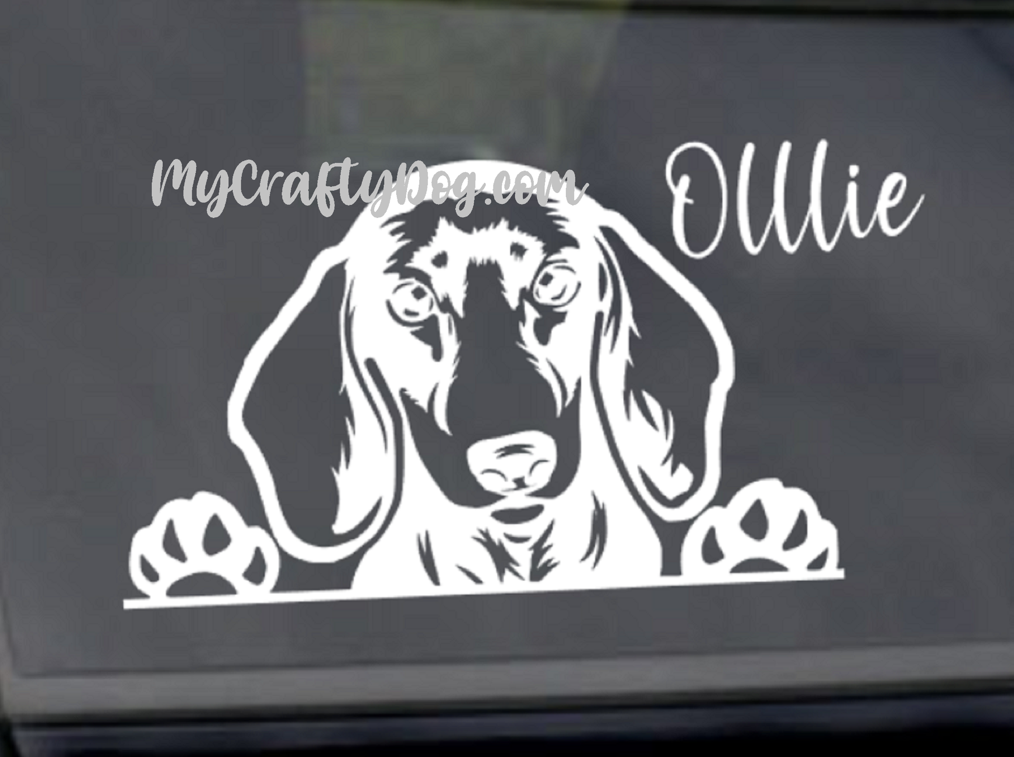 Peeking Dachshund Car Sticker - My Crafty Dog