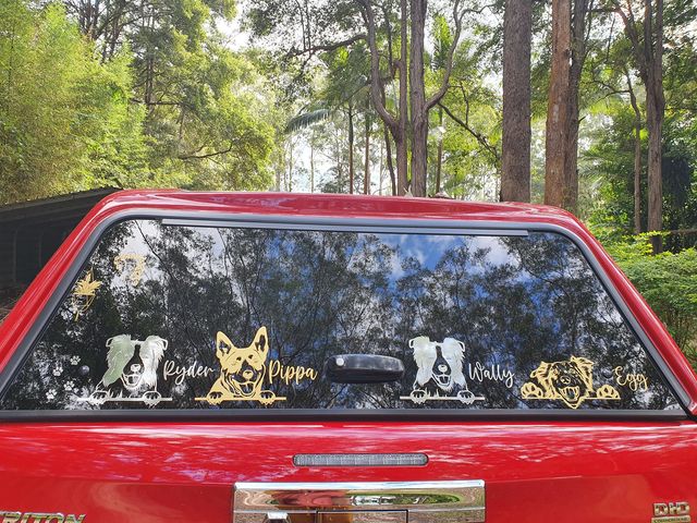 Peeking Australian Shepherd Car Decal Aussie - My Crafty Dog