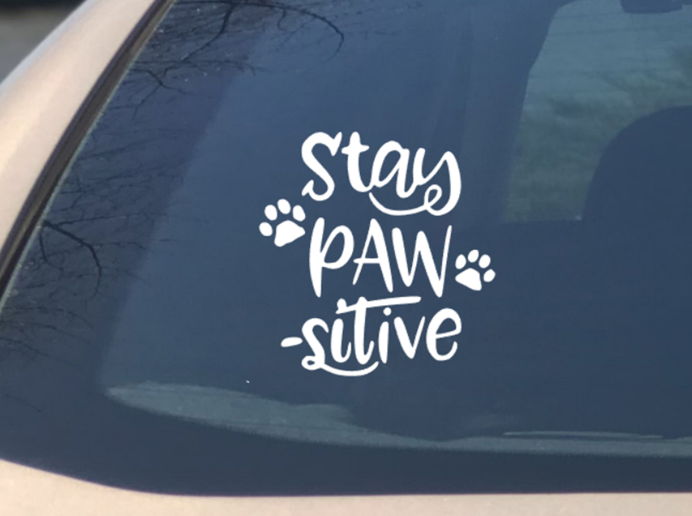 Stay Paw-sitive Dog Car Decal Sticker, Positive Motivational Dog Sticker, Vinyl Window Cute,  Dog lover gift, Best gift dog friend - My Crafty Dog