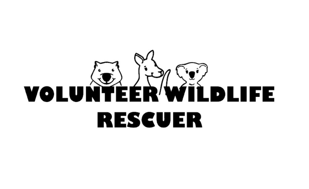 Volunteer Wildlife Rescuer Car Sticker. Saving Native Australian Wildlife - My Crafty Dog