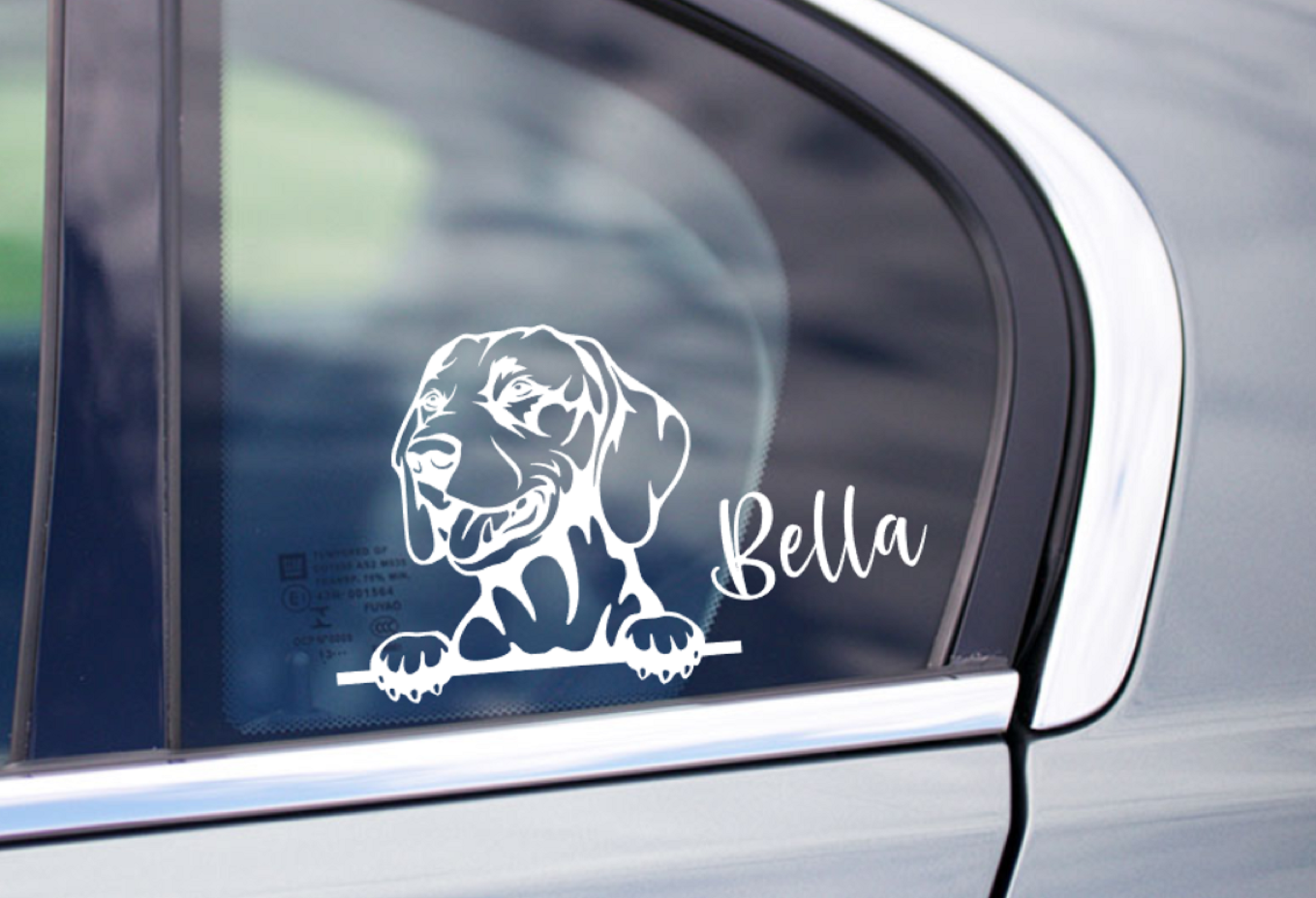 Vizla Peeking dog Car Sticker Hungarian Hunting Dog