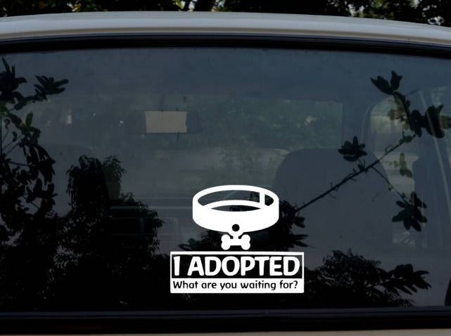 I Adopted What are you waiting for Car decal - My Crafty Dog