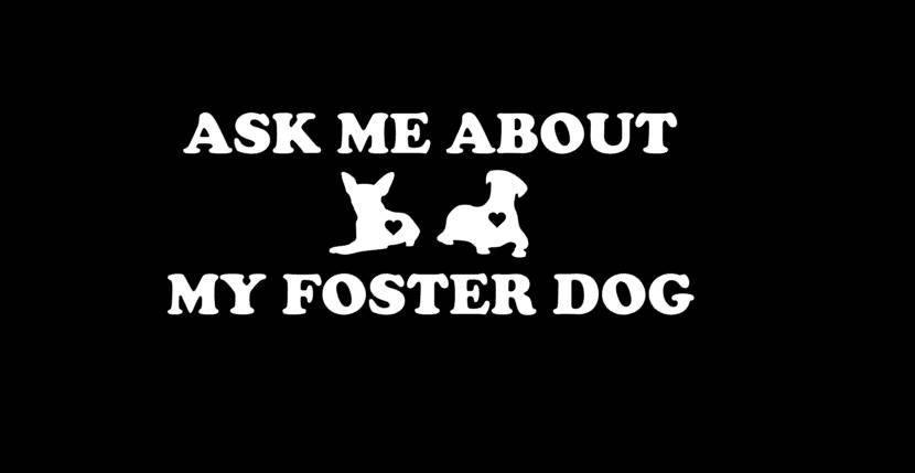 Ask Me About My Foster Dog Car Sticker - My Crafty Dog