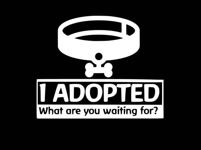 I Adopted What are you waiting for Car decal - My Crafty Dog