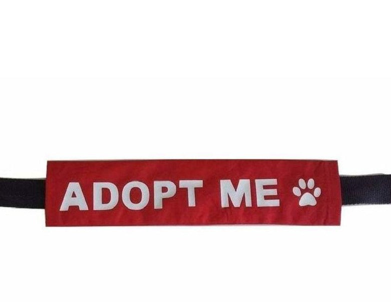Adopt Me Dog Leash Lead Sleeve for Foster Shelter Rescue Dogs Adoption Save - My Crafty Dog