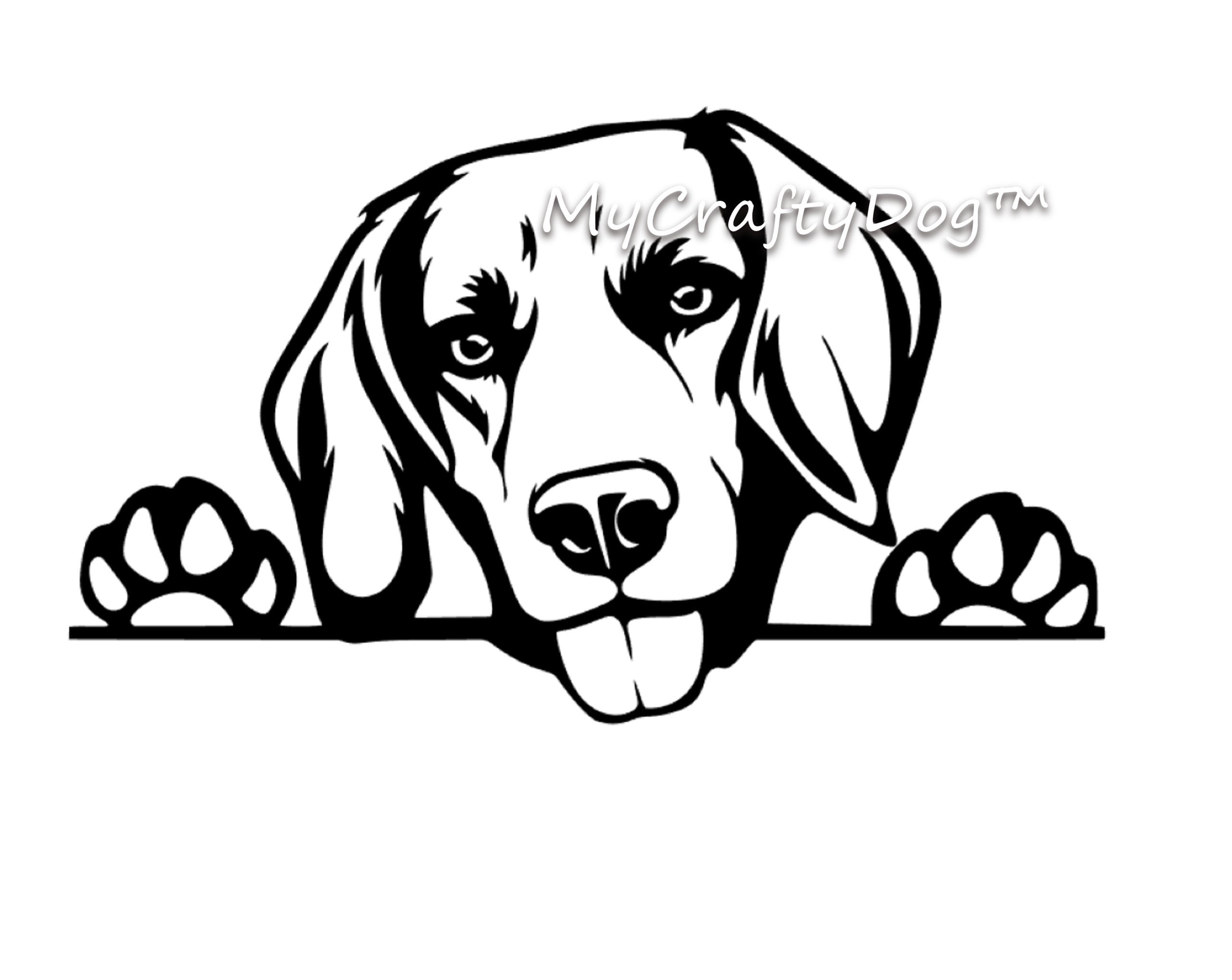 Peeking Beagle Car Sticker - My Crafty Dog