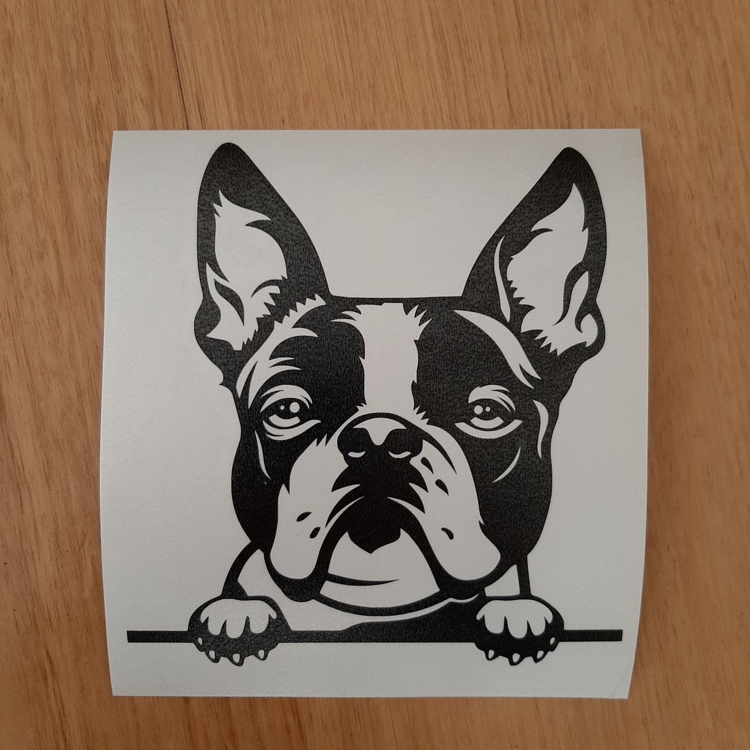 Peeking Boston Terrier Car Sticker - My Crafty Dog