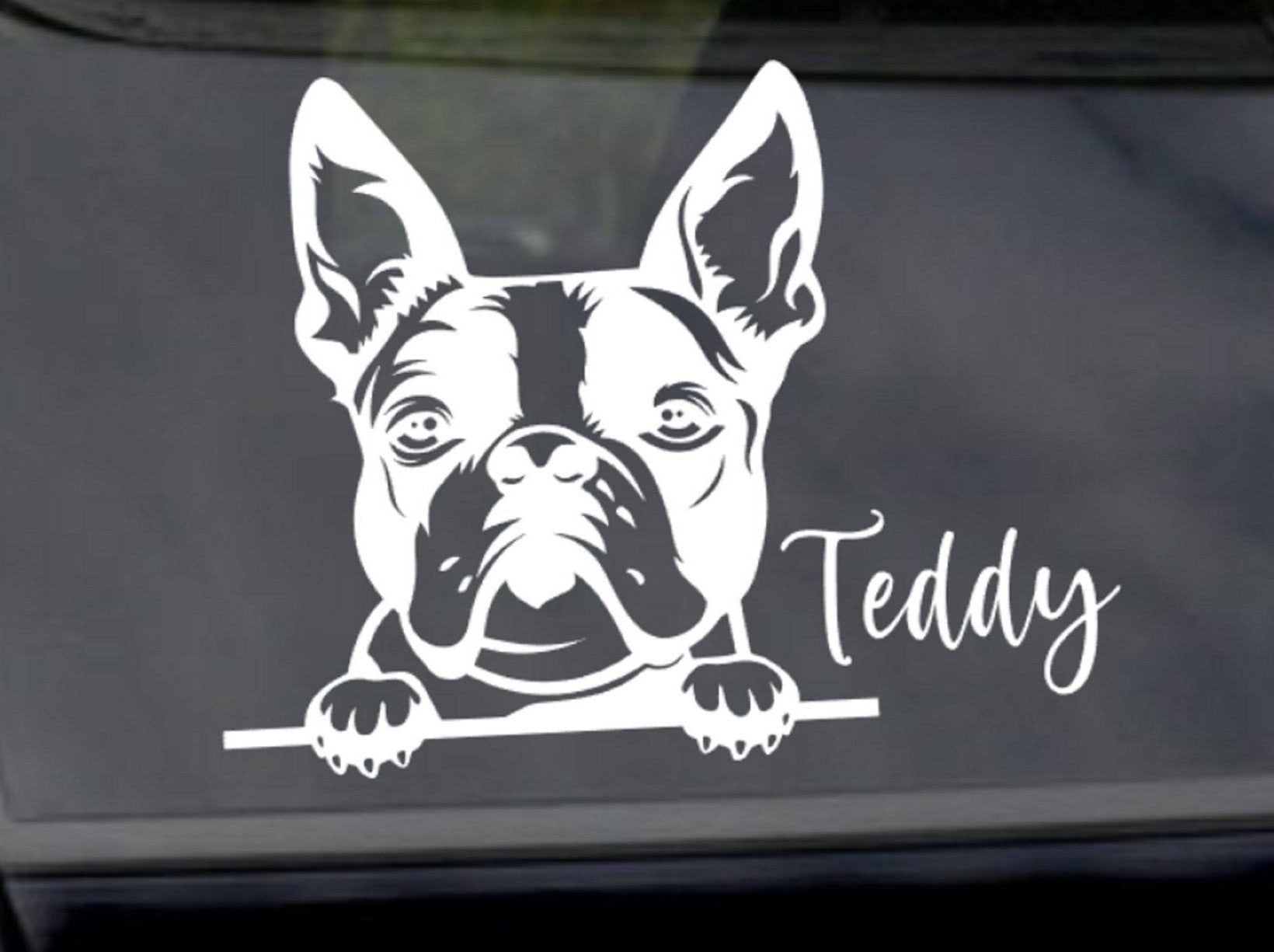 Peeking Boston Terrier Car Sticker - My Crafty Dog
