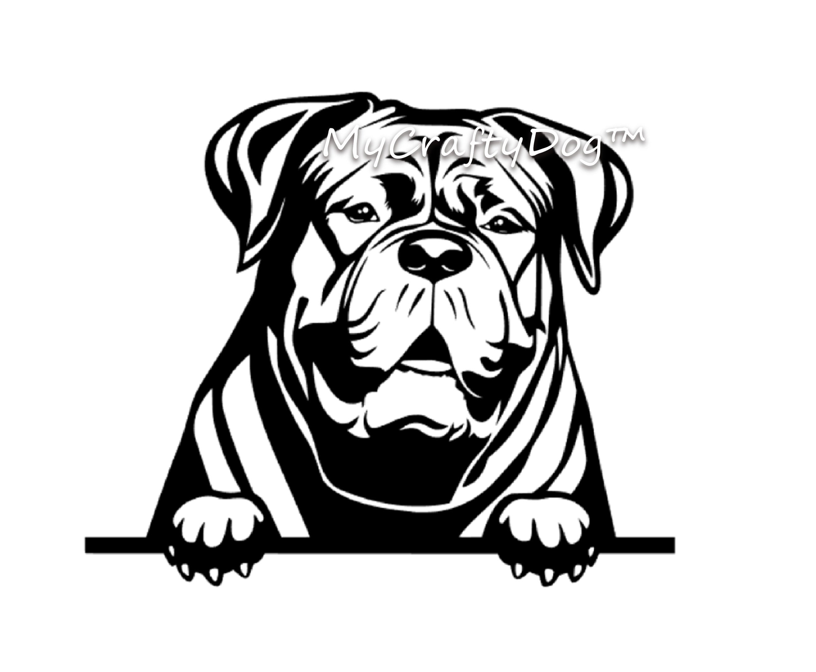 Peeking Dogue du Bordeaux Car Sticker French Mastiff - My Crafty Dog