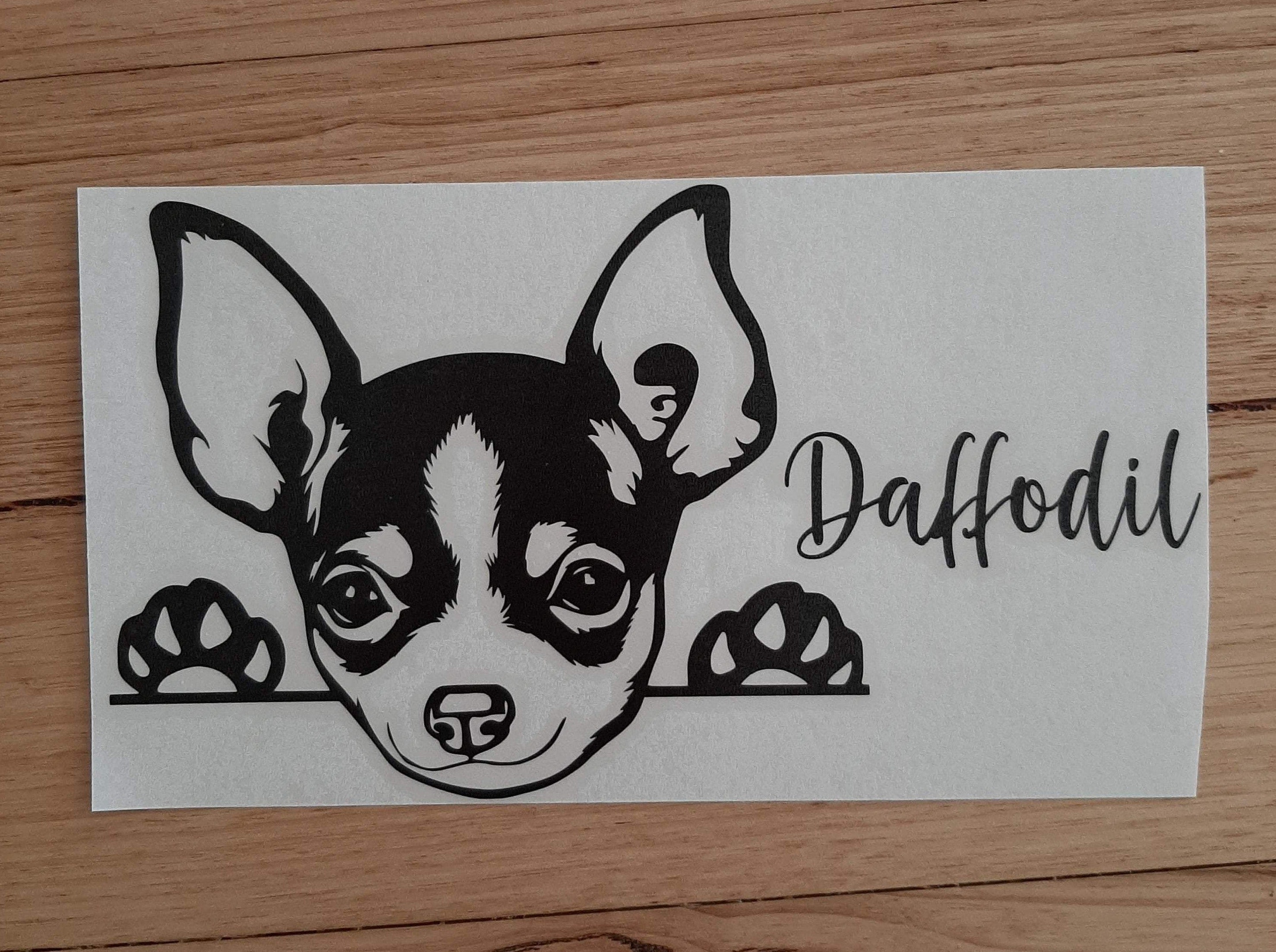 Peeking Chihuahua Car Sticker - My Crafty Dog