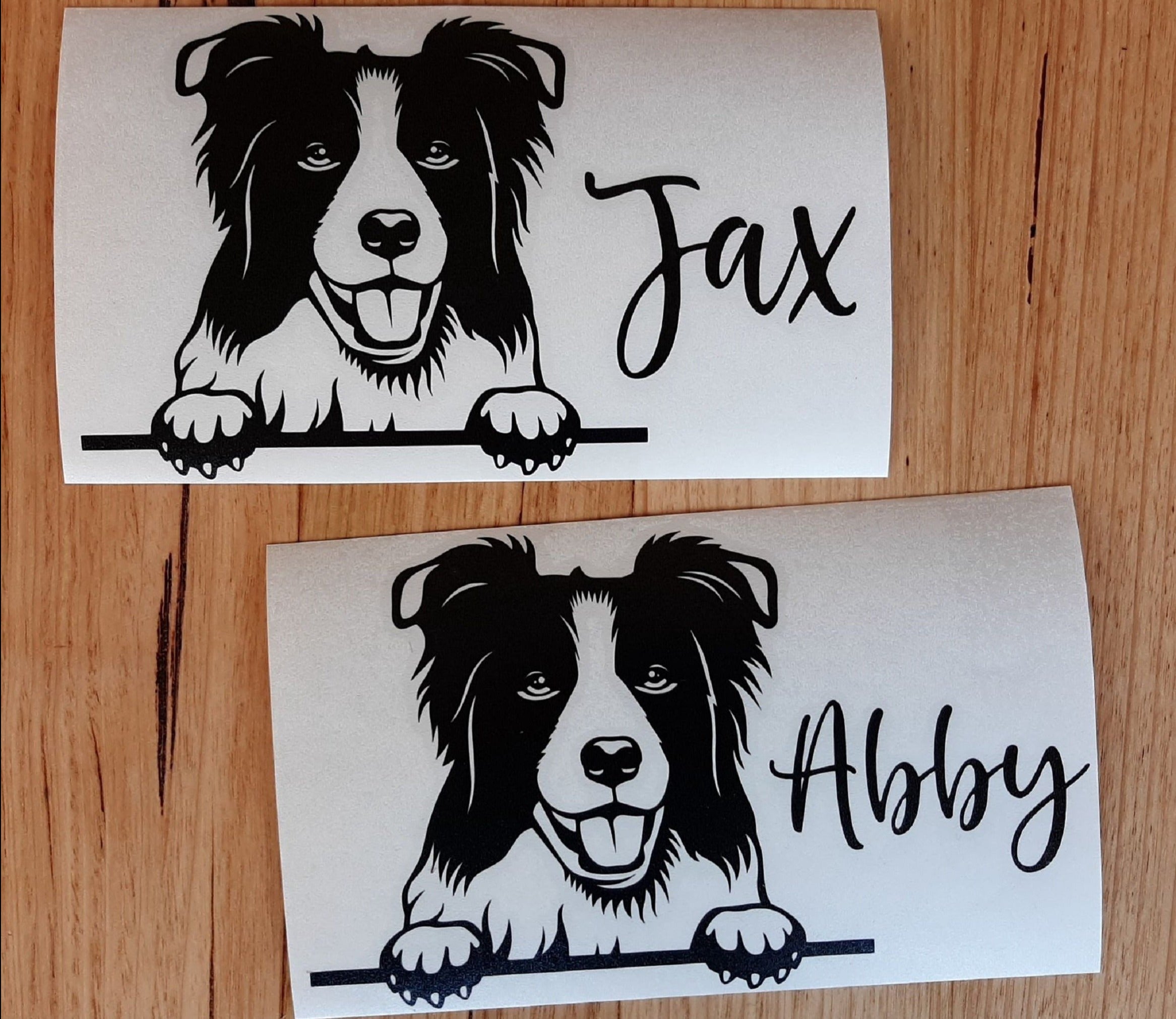 Peeking Collie Car Sticker - My Crafty Dog