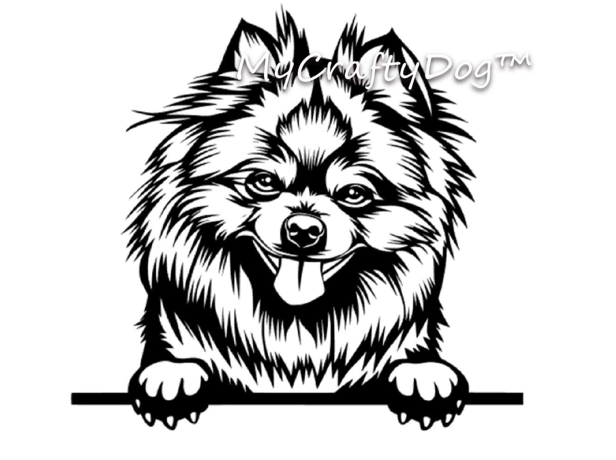 Peeking Pomeranian Car Sticker - My Crafty Dog