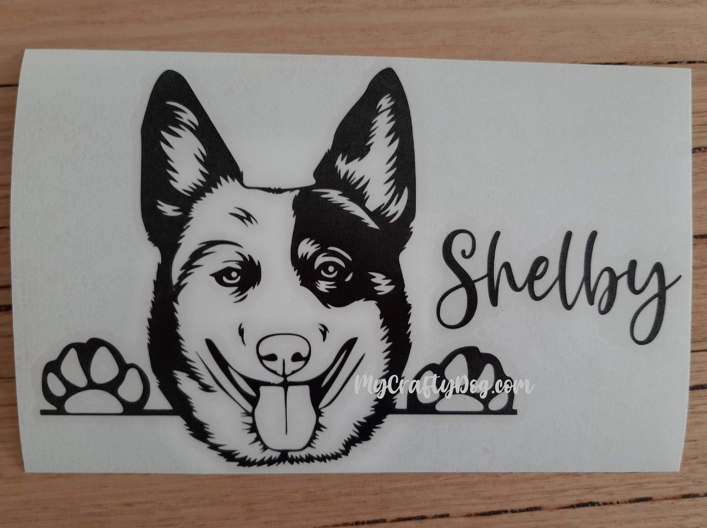 Peeking Australian Cattle Dog Heeler Car Sticker Decal - My Crafty Dog