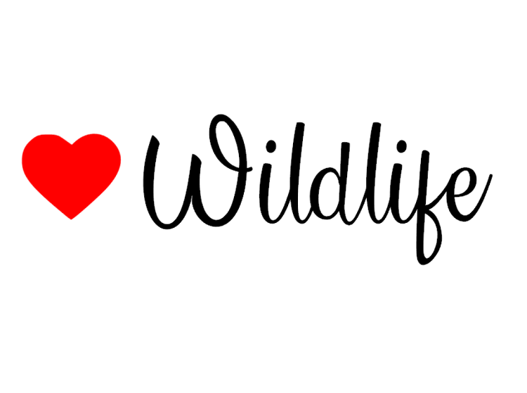 Love Wildlife Sticker - My Crafty Dog