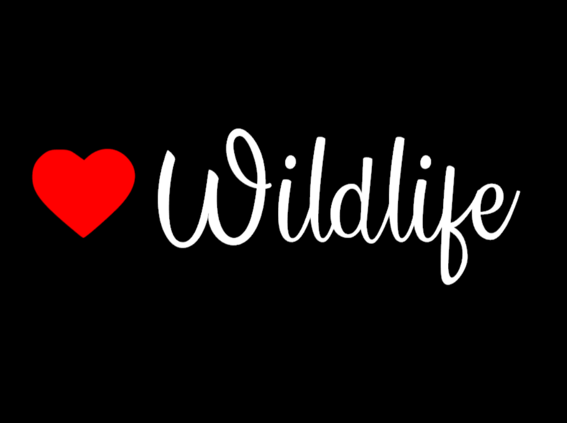 Love Wildlife Sticker - My Crafty Dog