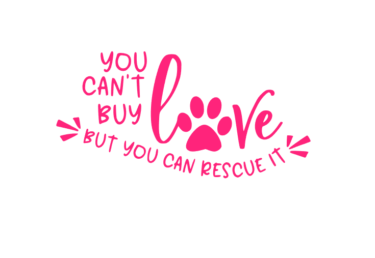 You Can't Buy Love But You Can Rescue It Vinyl Decal - My Crafty Dog